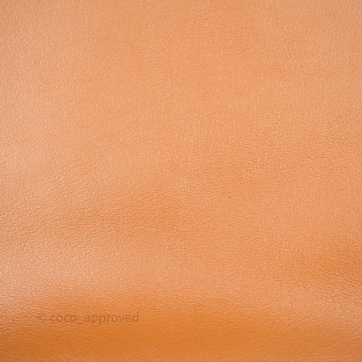 Miu Miu Ivy Leather Bag Brown