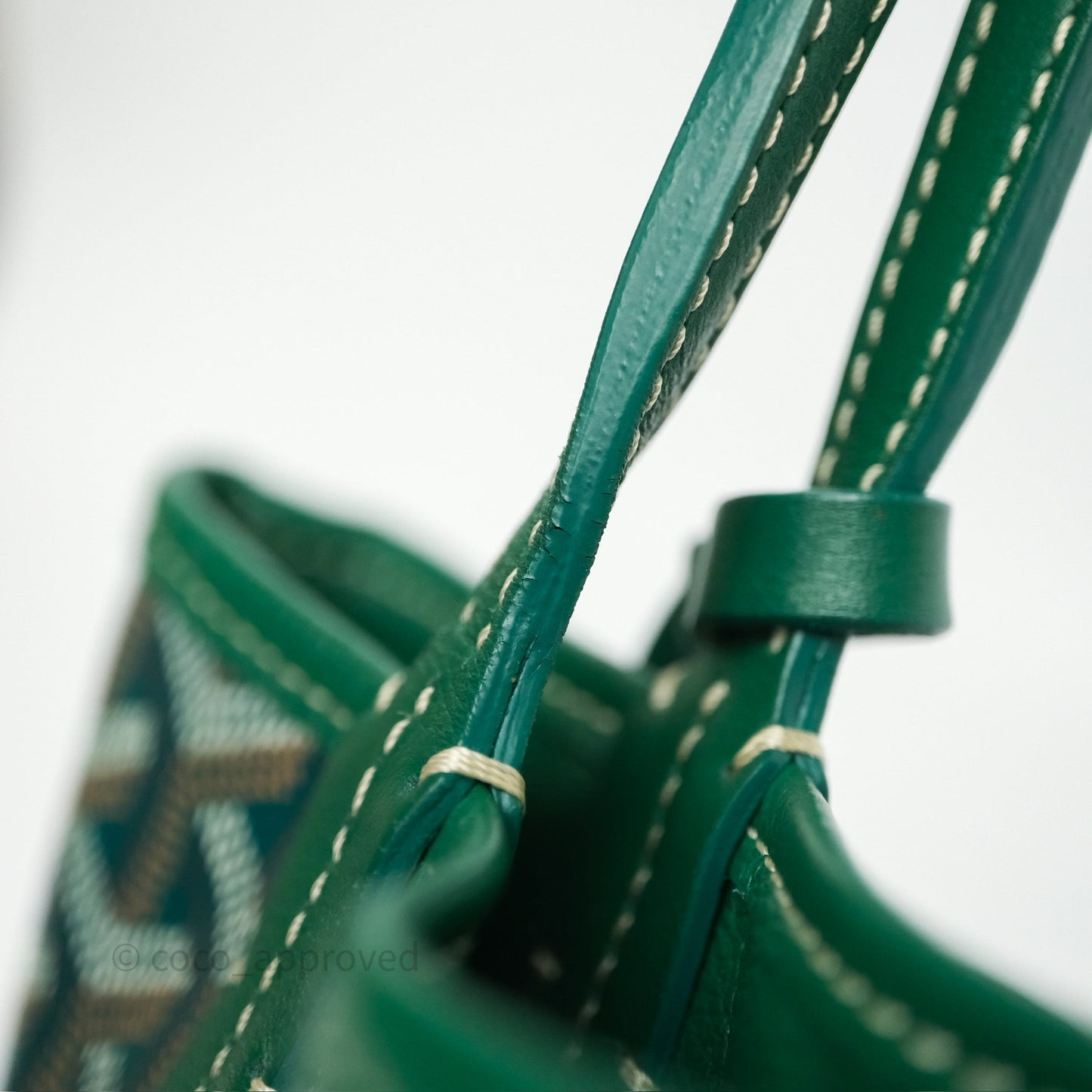 Goyard Anjou Mini Bag Goyardine Canvas Green