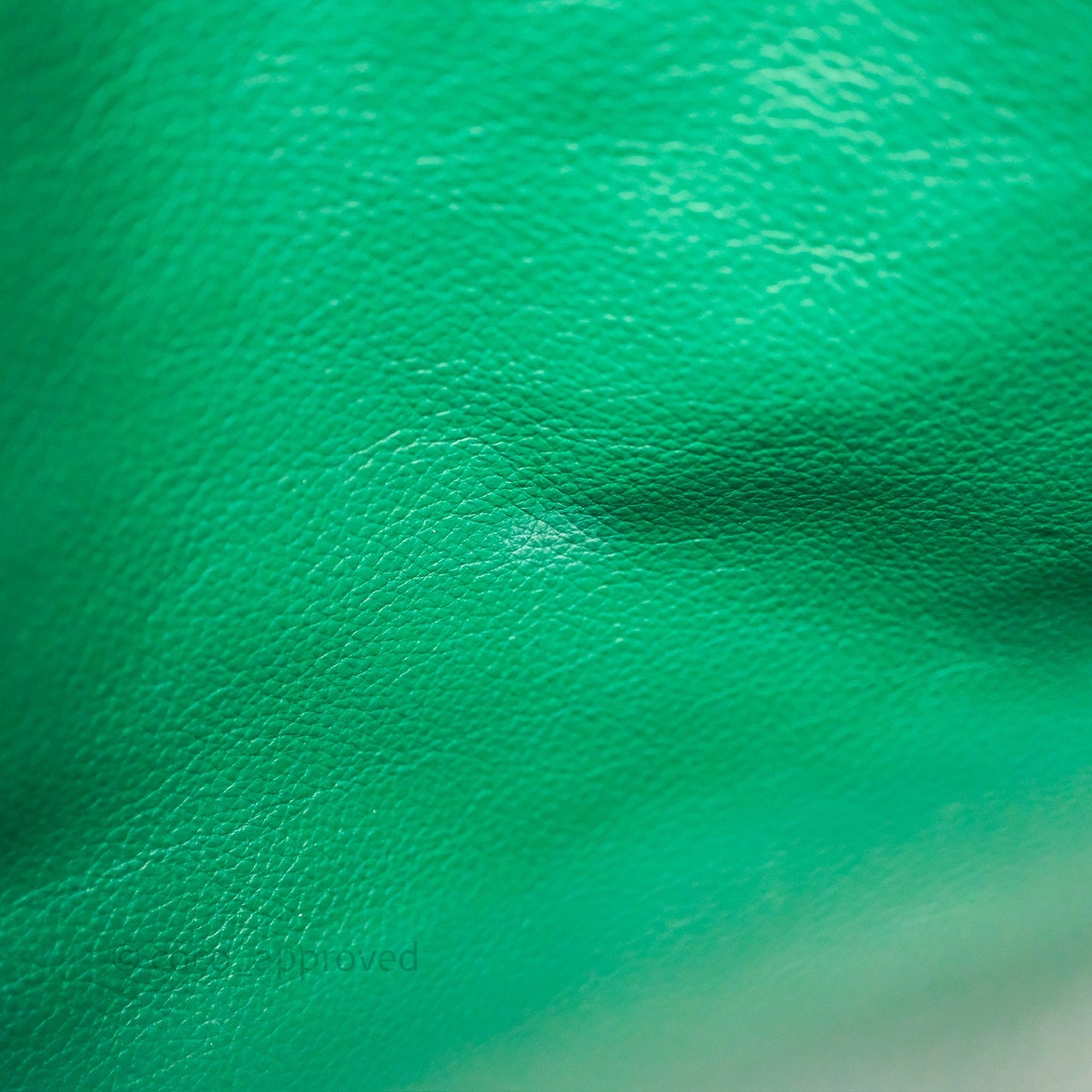 Goyard Anjou Mini Bag Goyardine Canvas Green