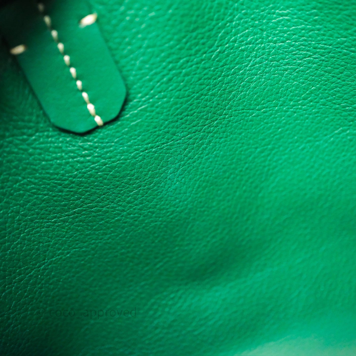 Goyard Anjou Mini Bag Goyardine Canvas Green