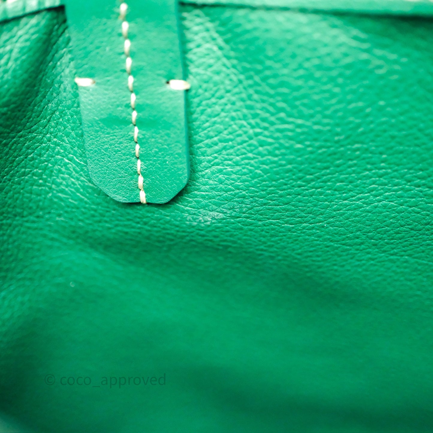 Goyard Anjou Mini Bag Goyardine Canvas Green