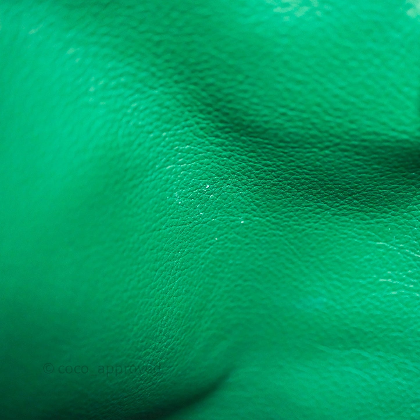 Goyard Anjou Mini Bag Goyardine Canvas Green