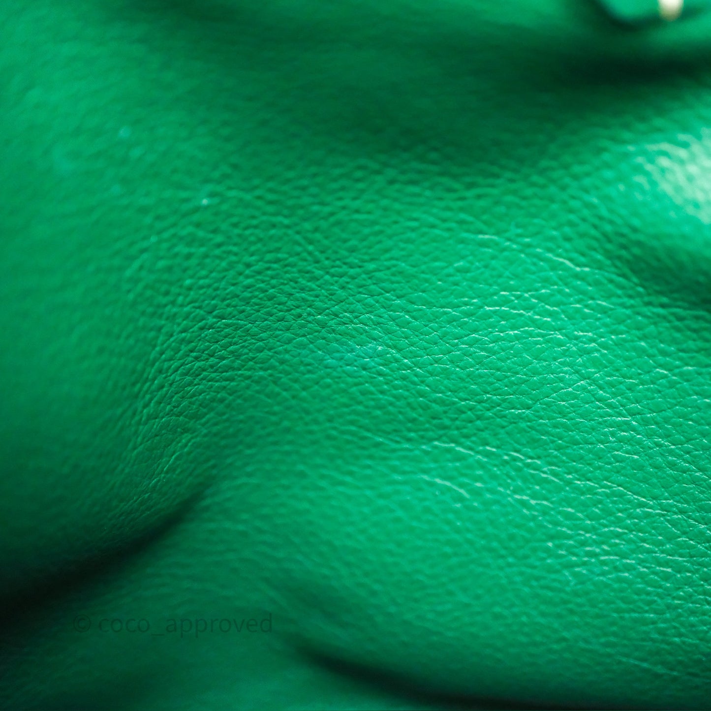 Goyard Anjou Mini Bag Goyardine Canvas Green