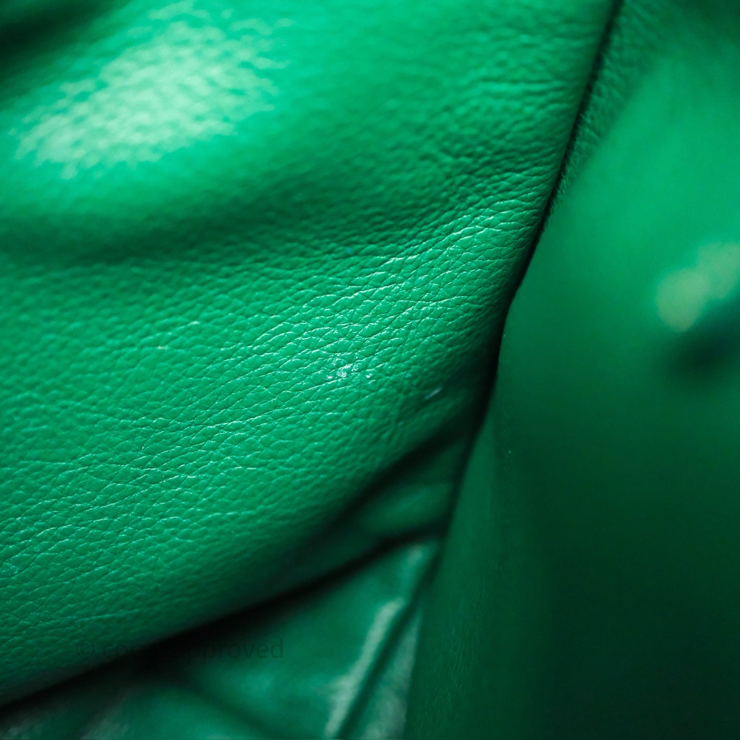 Goyard Anjou Mini Bag Goyardine Canvas Green