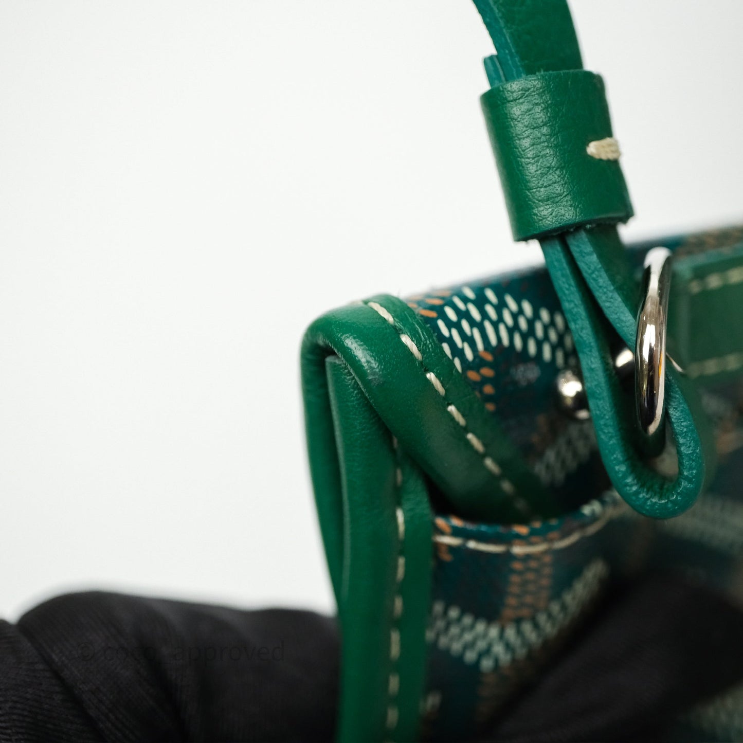 Goyard Anjou Mini Bag Goyardine Canvas Green