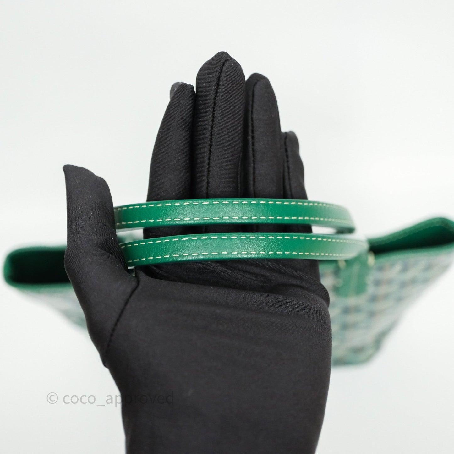 Goyard Anjou Mini Bag Goyardine Canvas Green