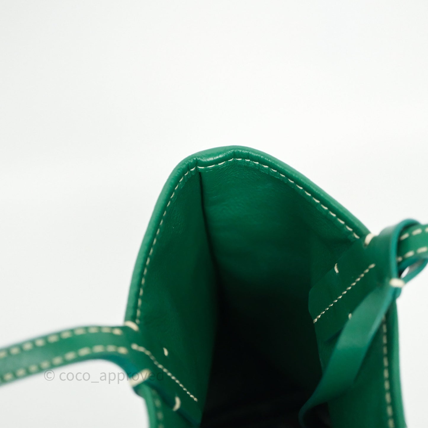 Goyard Anjou Mini Bag Goyardine Canvas Green