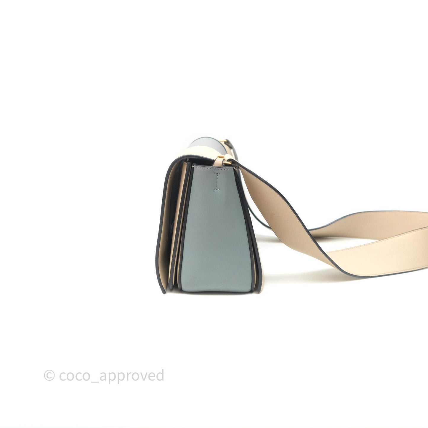 Celine Frame Bag Blue & Optic White