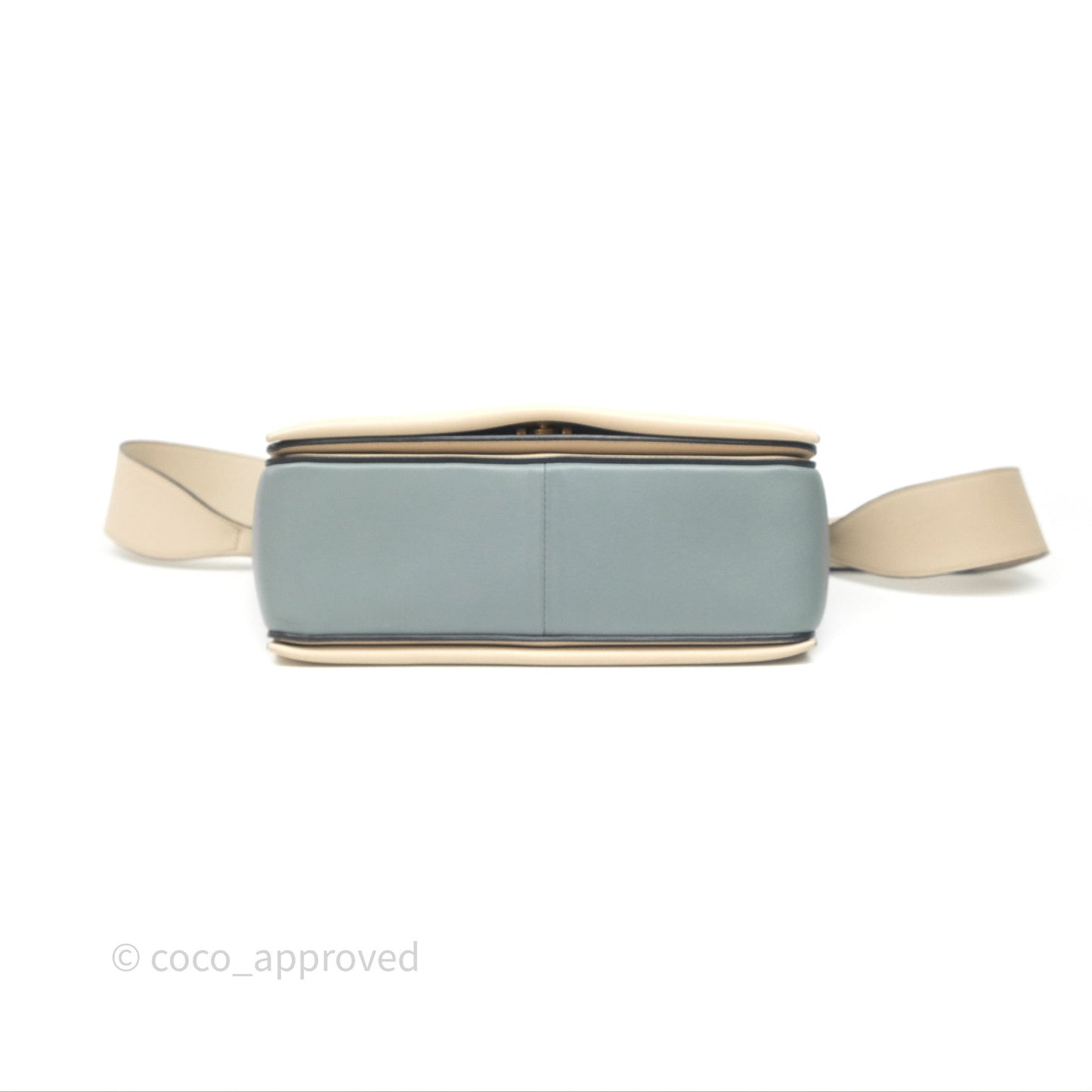 Celine Frame Bag Blue & Optic White