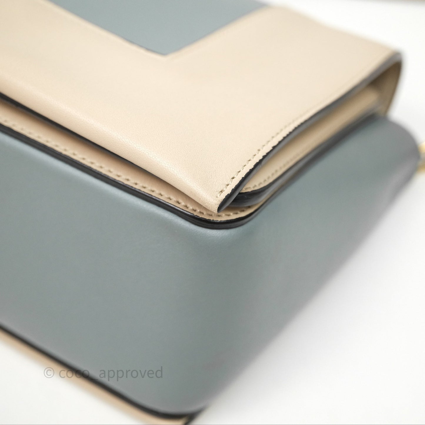 Celine Frame Bag Blue & Optic White