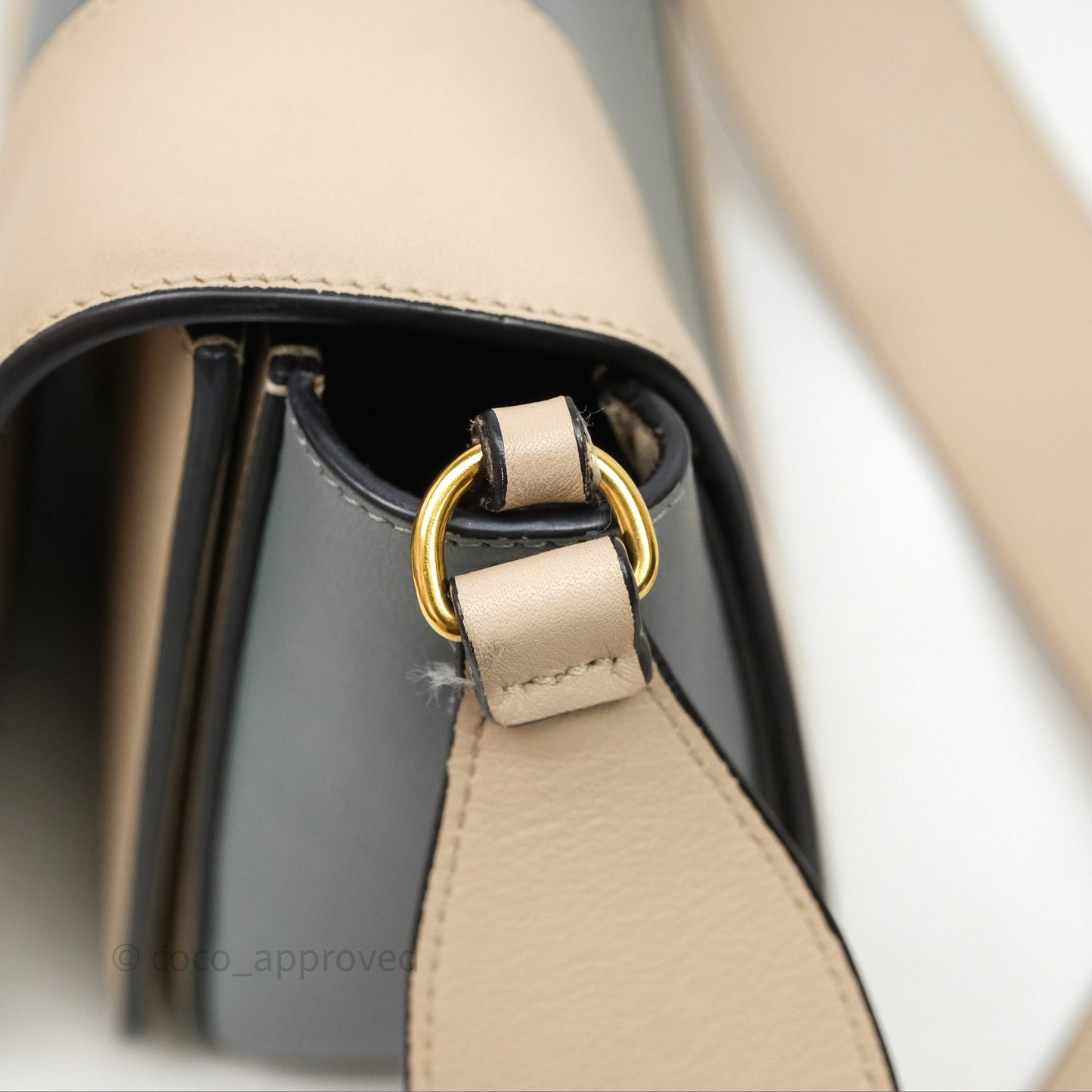 Celine Frame Bag Blue & Optic White