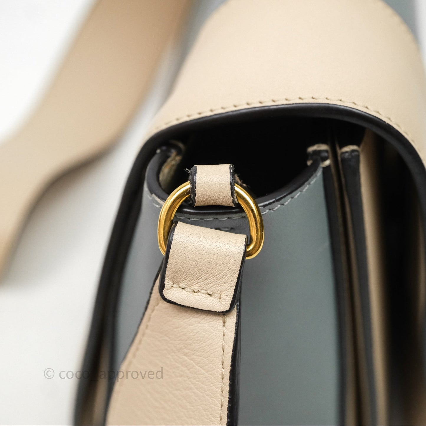 Celine Frame Bag Blue & Optic White