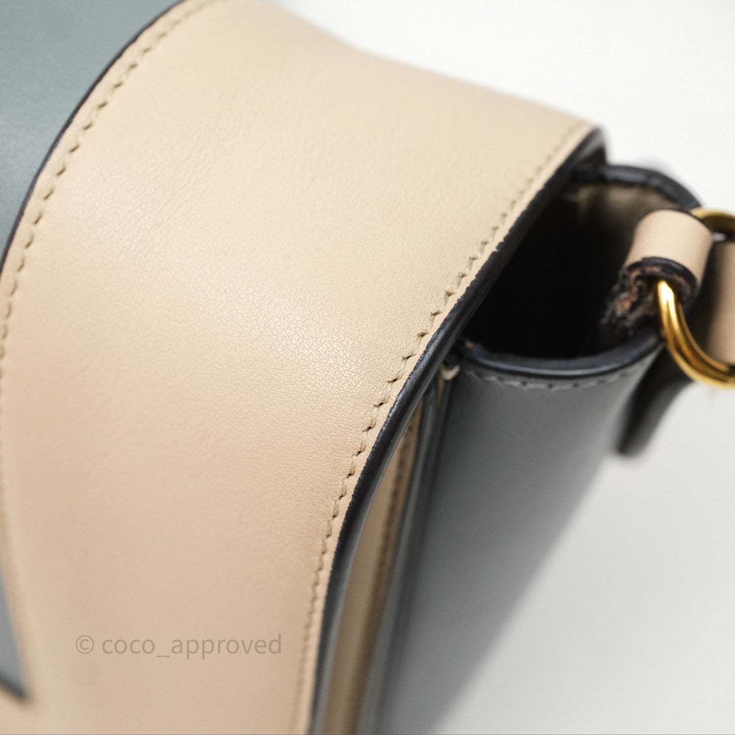 Celine Frame Bag Blue & Optic White