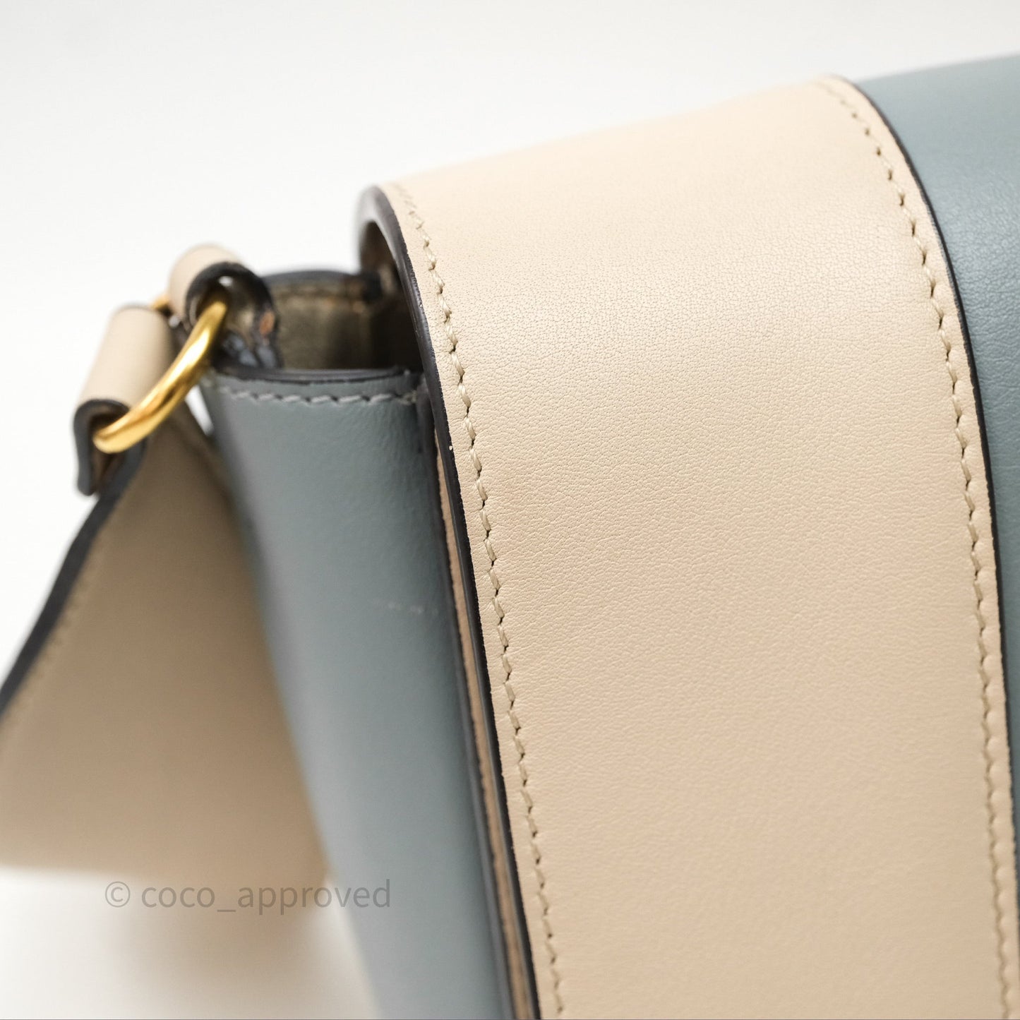 Celine Frame Bag Blue & Optic White