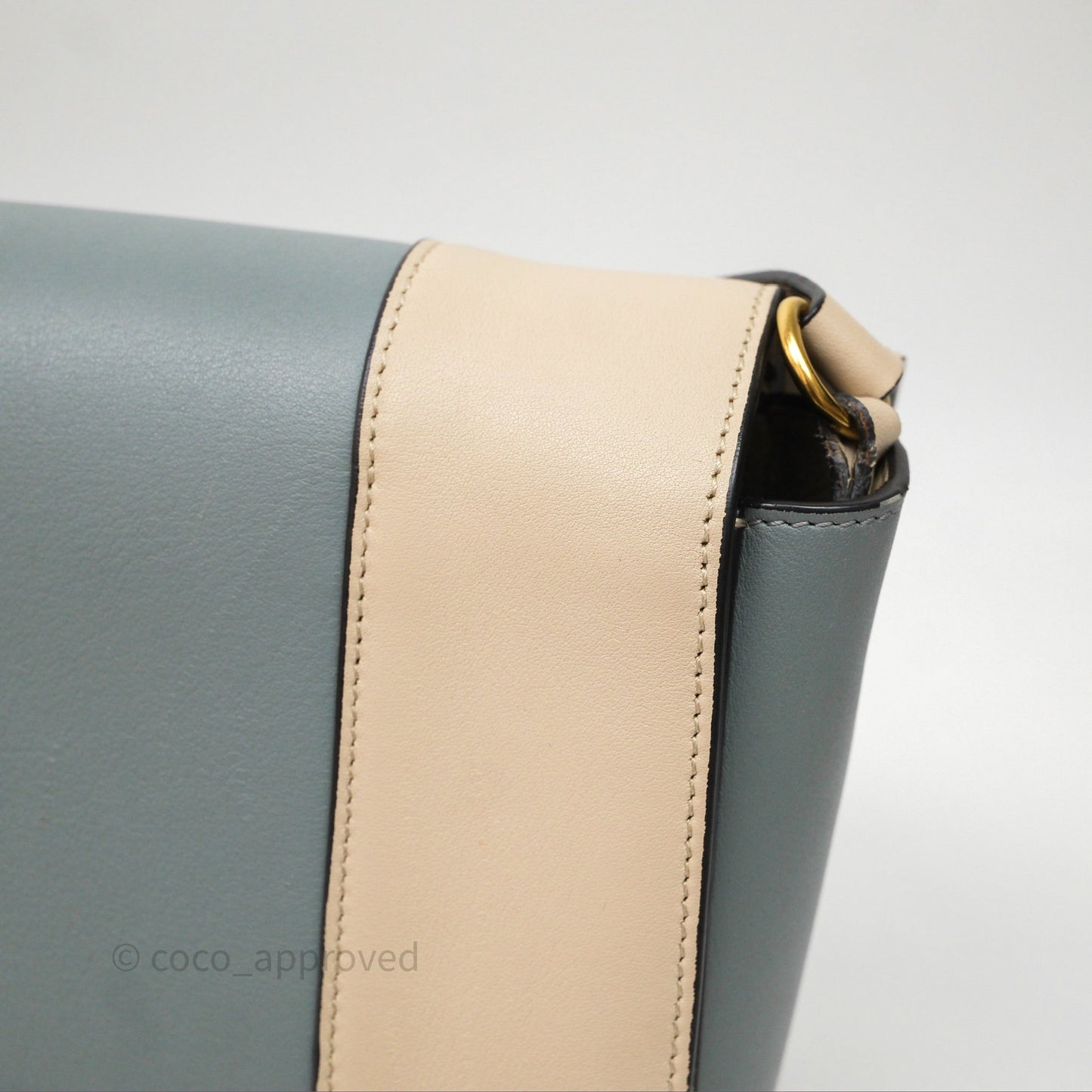 Celine Frame Bag Blue & Optic White
