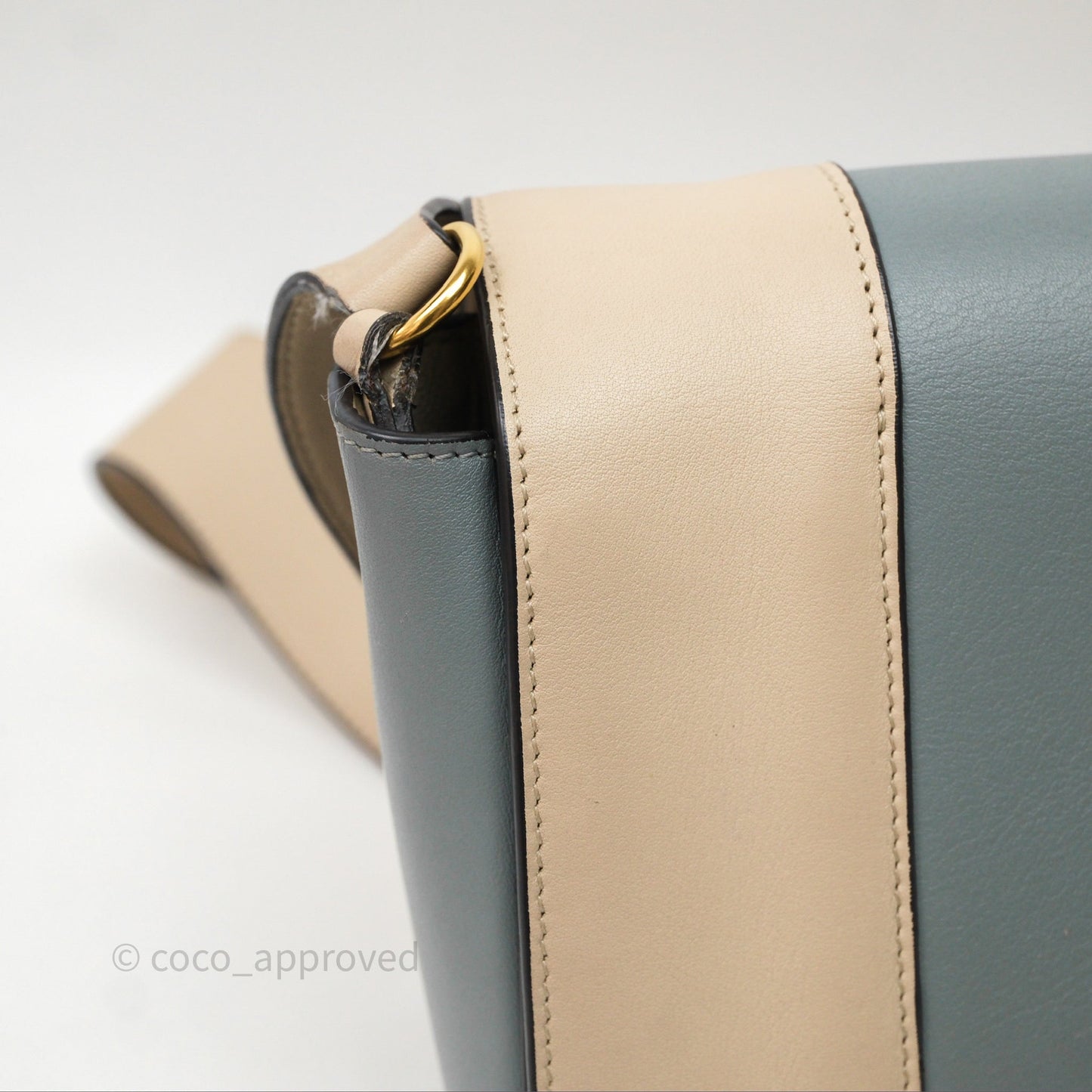 Celine Frame Bag Blue & Optic White