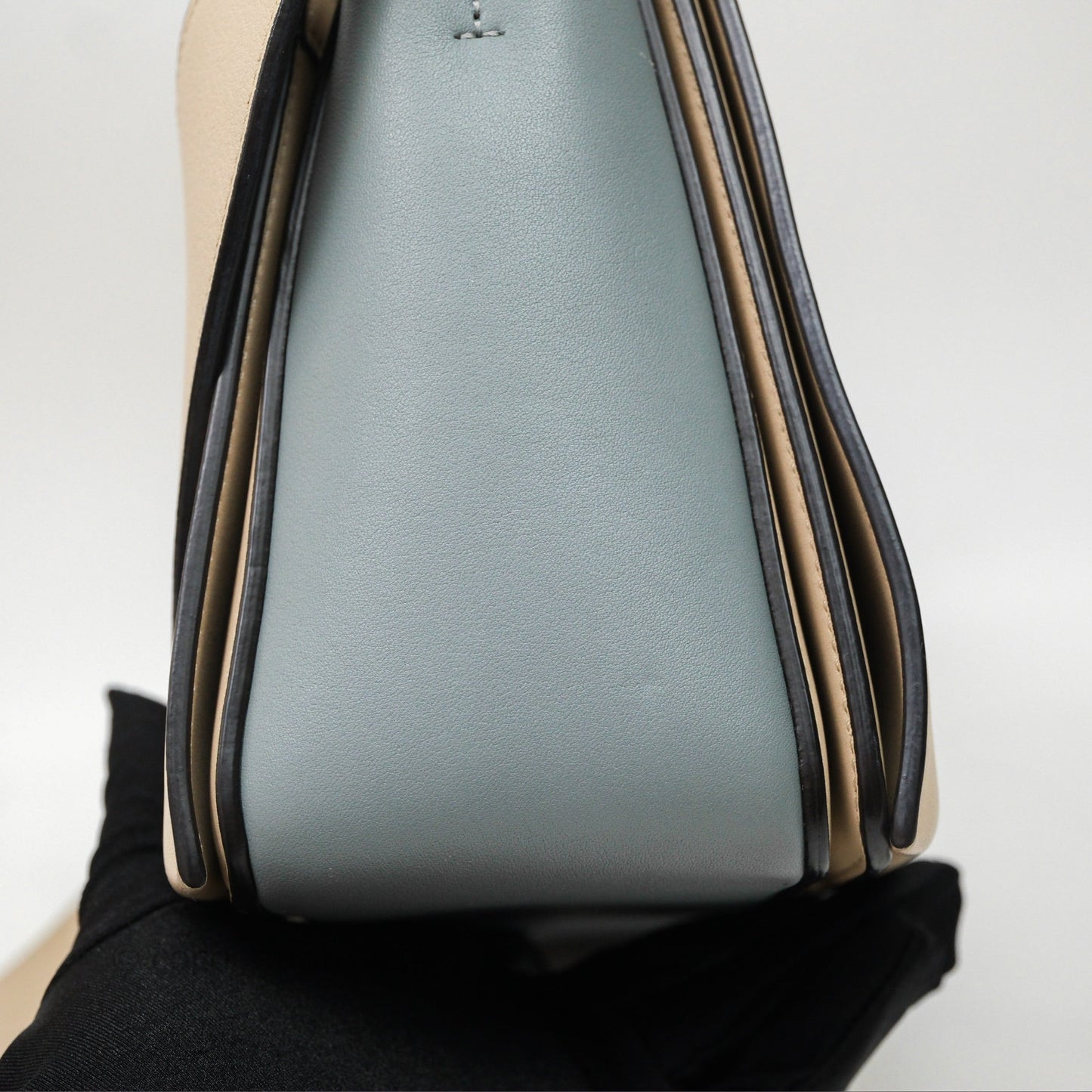 Celine Frame Bag Blue & Optic White
