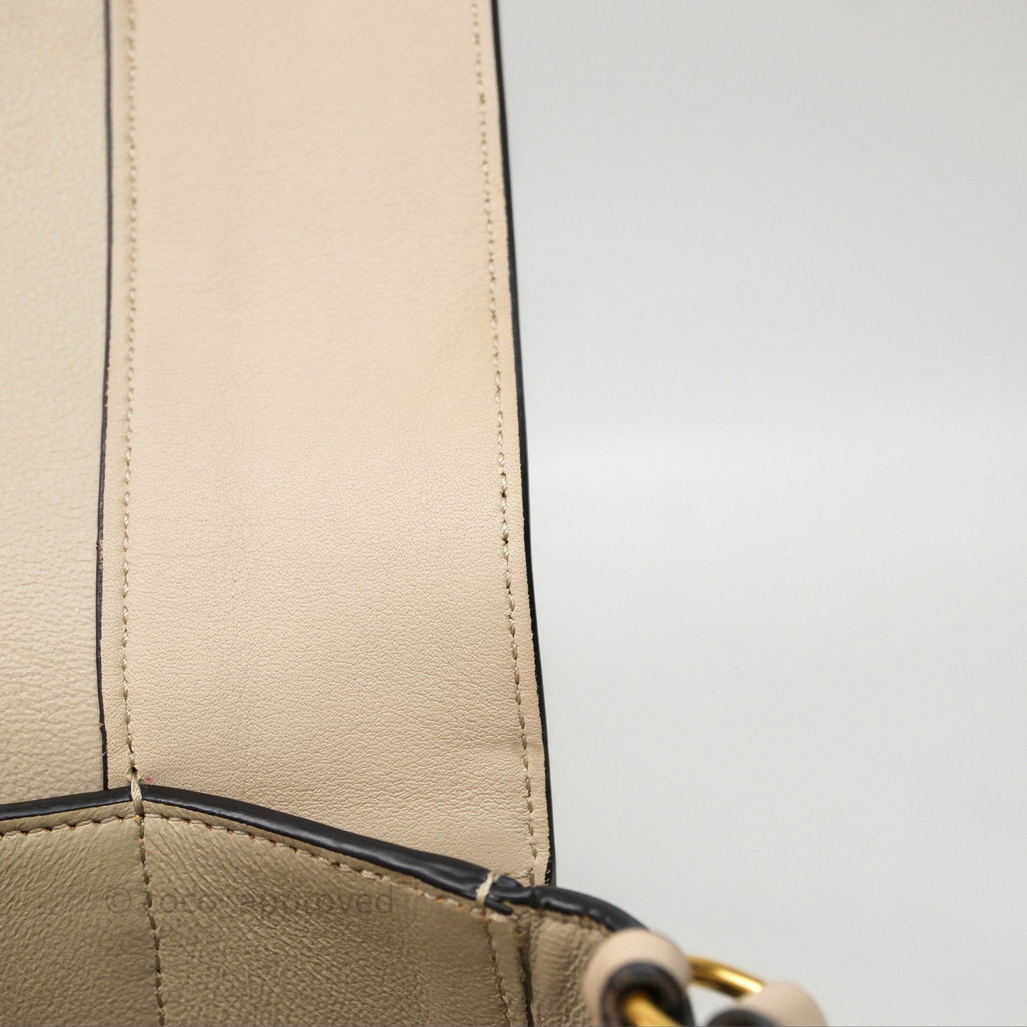 Celine Frame Bag Blue & Optic White