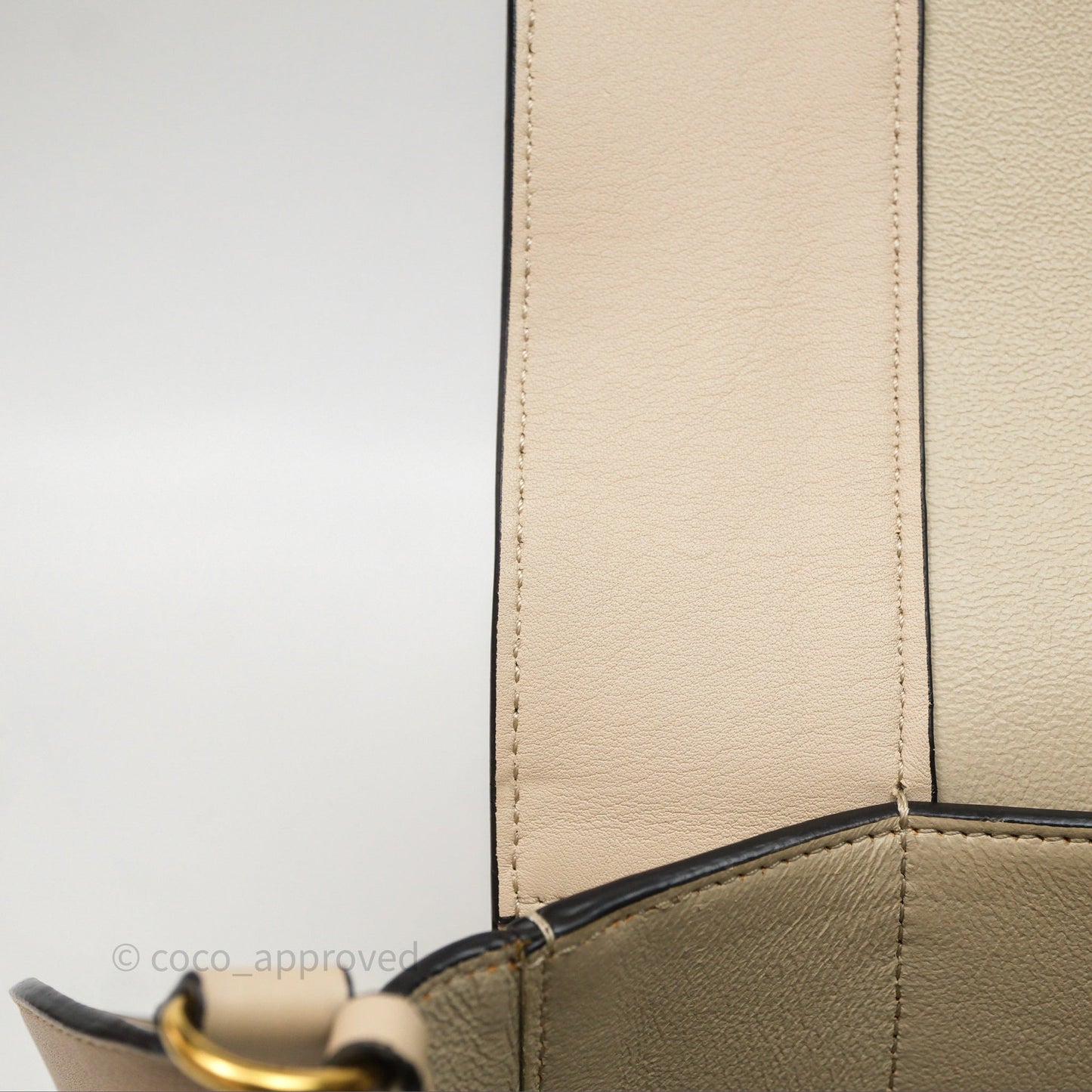 Celine Frame Bag Blue & Optic White