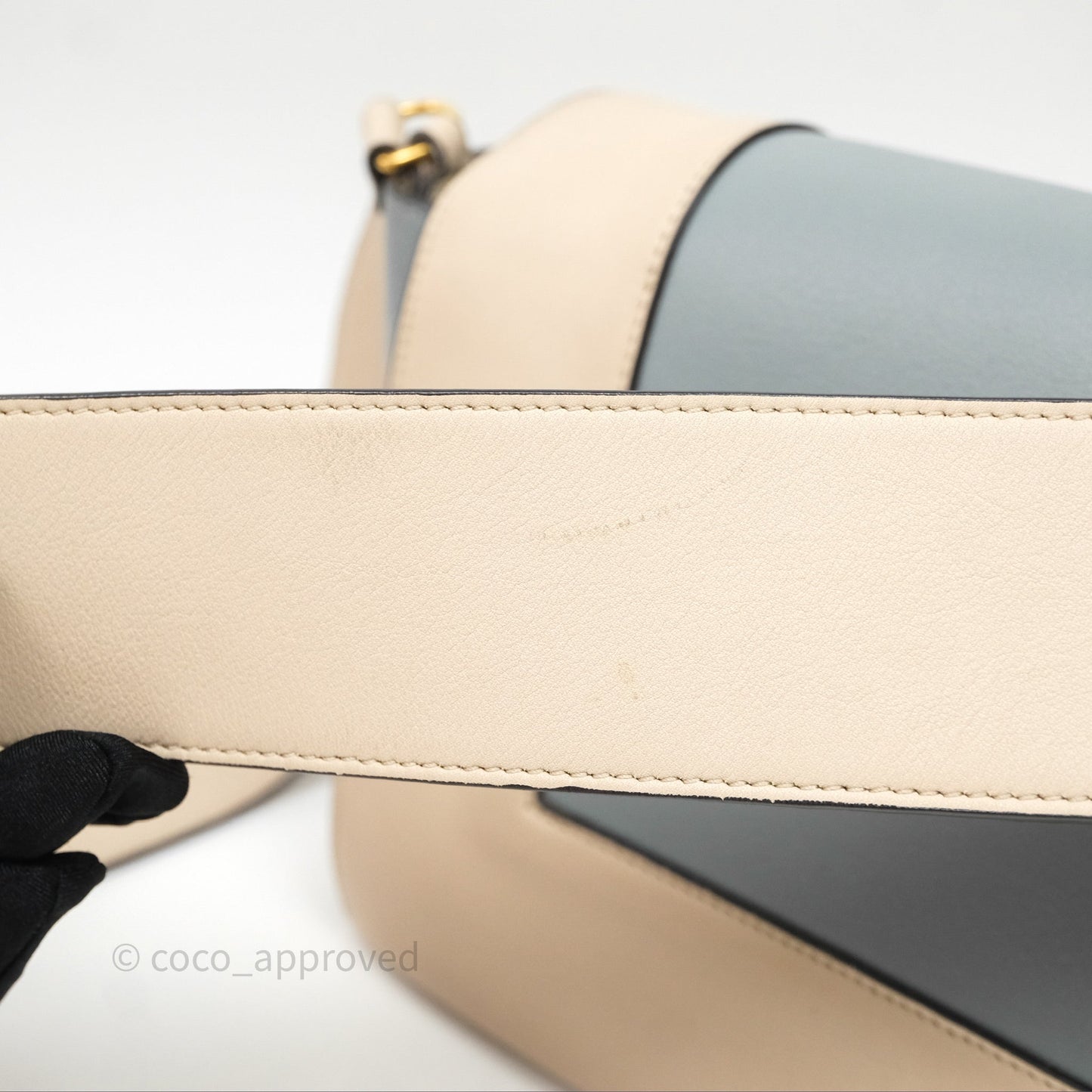 Celine Frame Bag Blue & Optic White