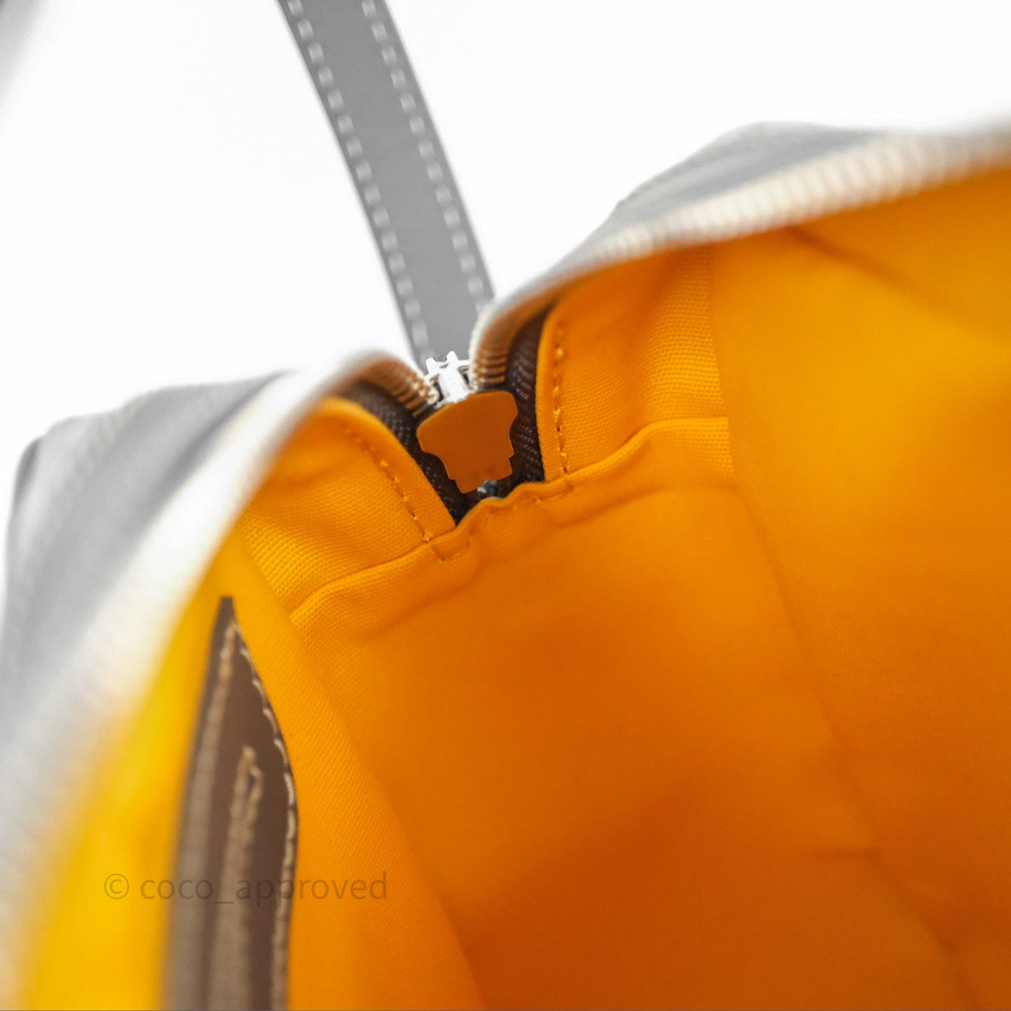 Goyard Cap-Vert PM Bag Grey Goyardine