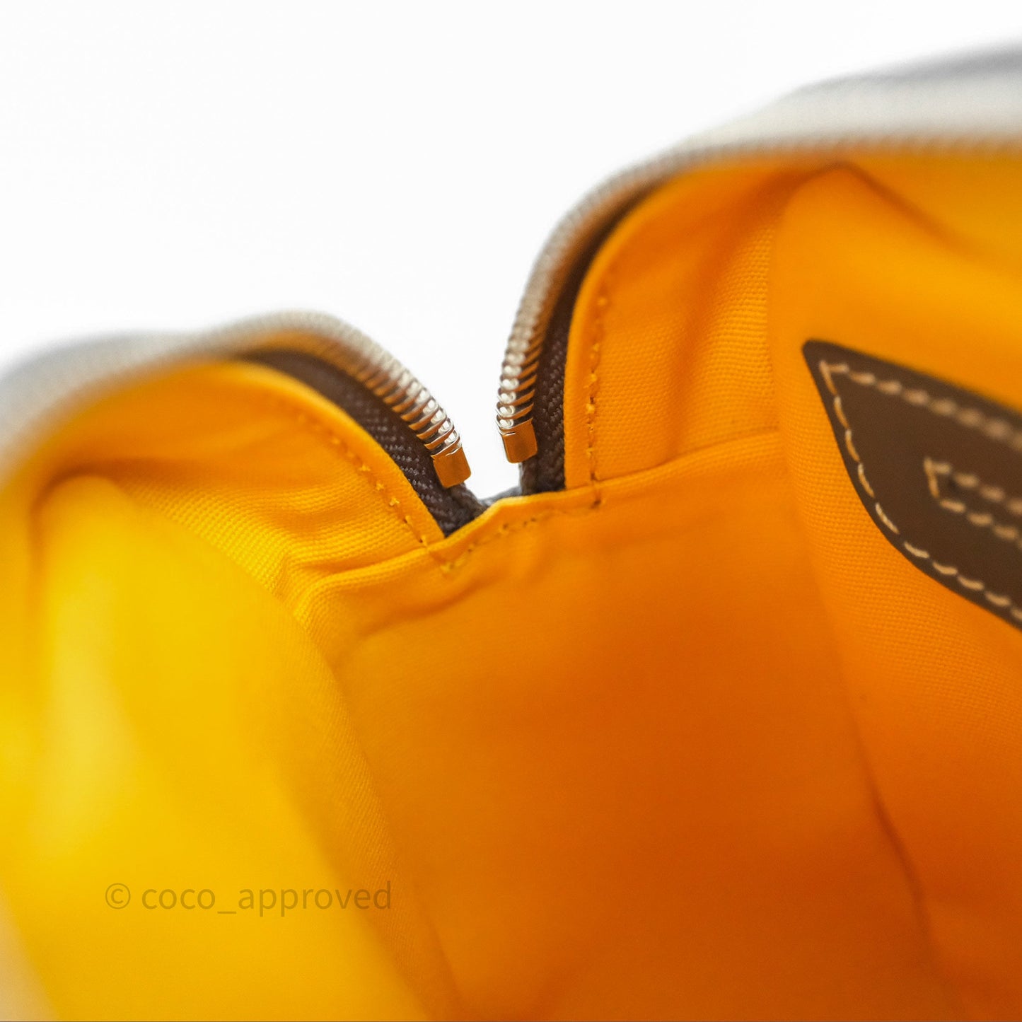 Goyard Cap-Vert PM Bag Grey Goyardine