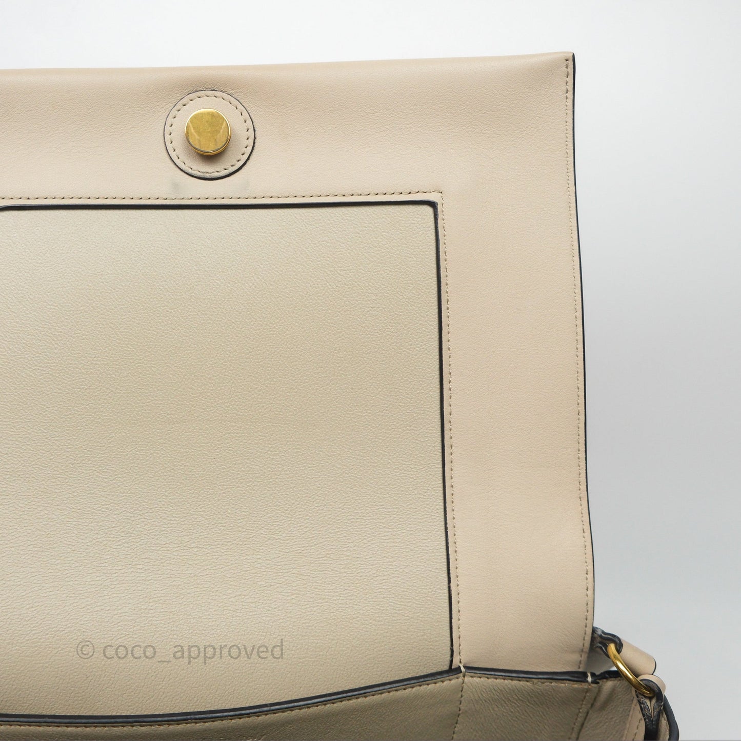 Celine Frame Bag Blue & Optic White