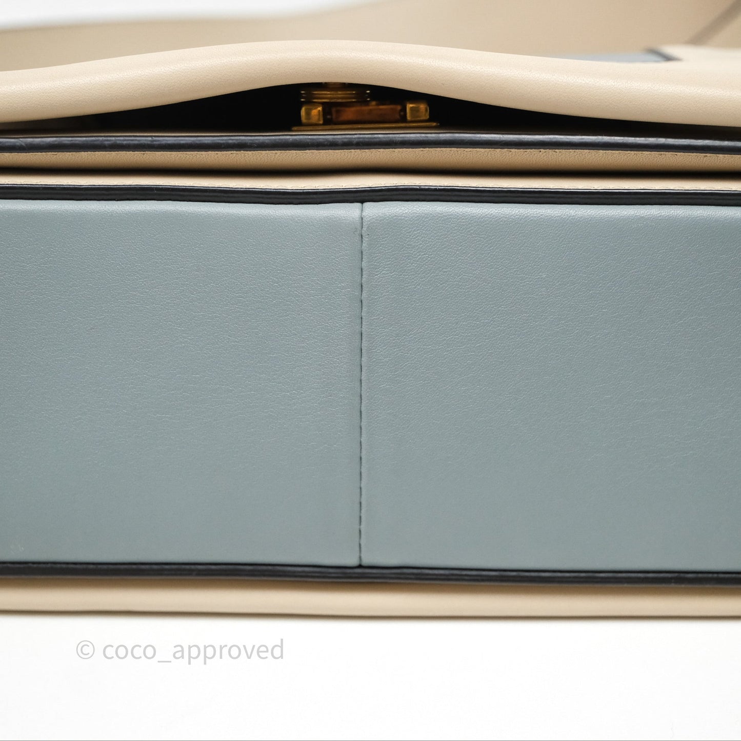 Celine Frame Bag Blue & Optic White