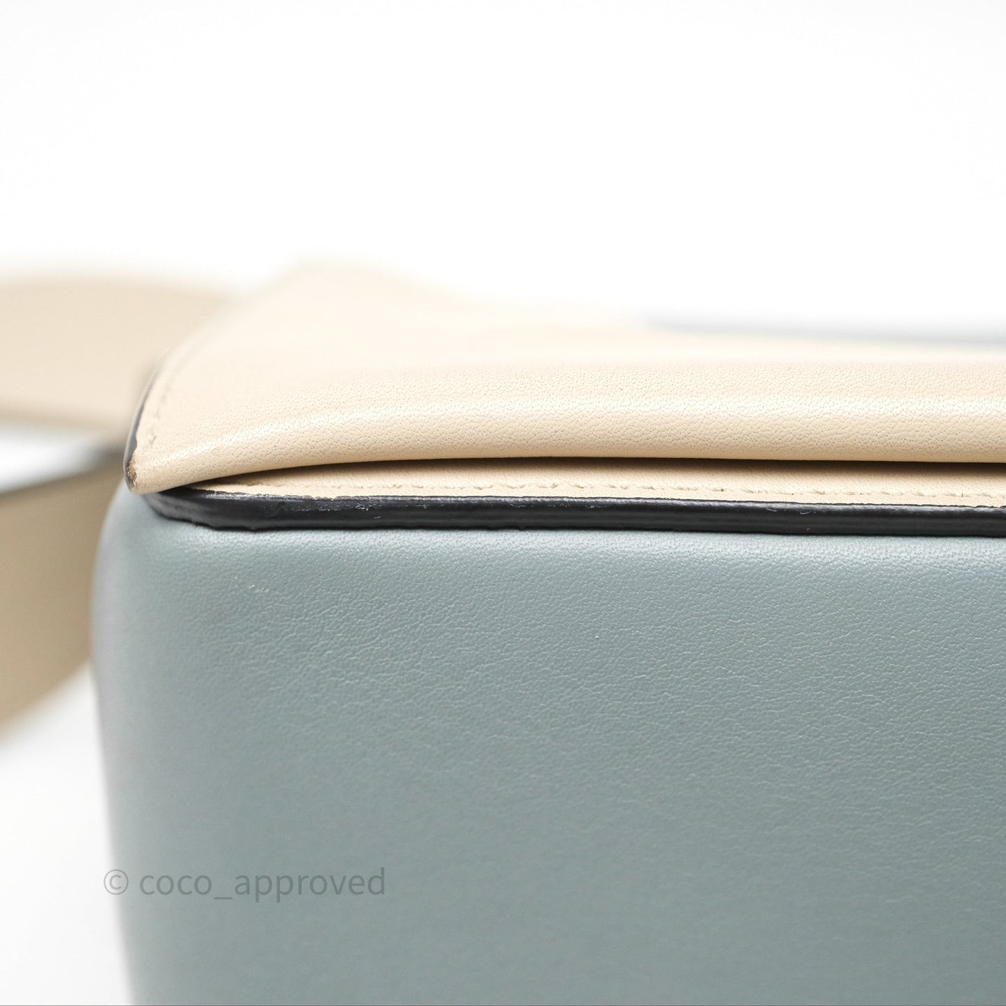 Celine Frame Bag Blue & Optic White