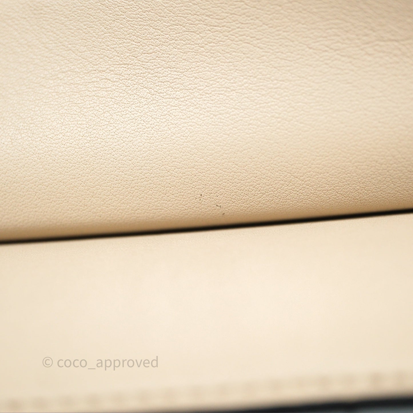 Celine Frame Bag Blue & Optic White