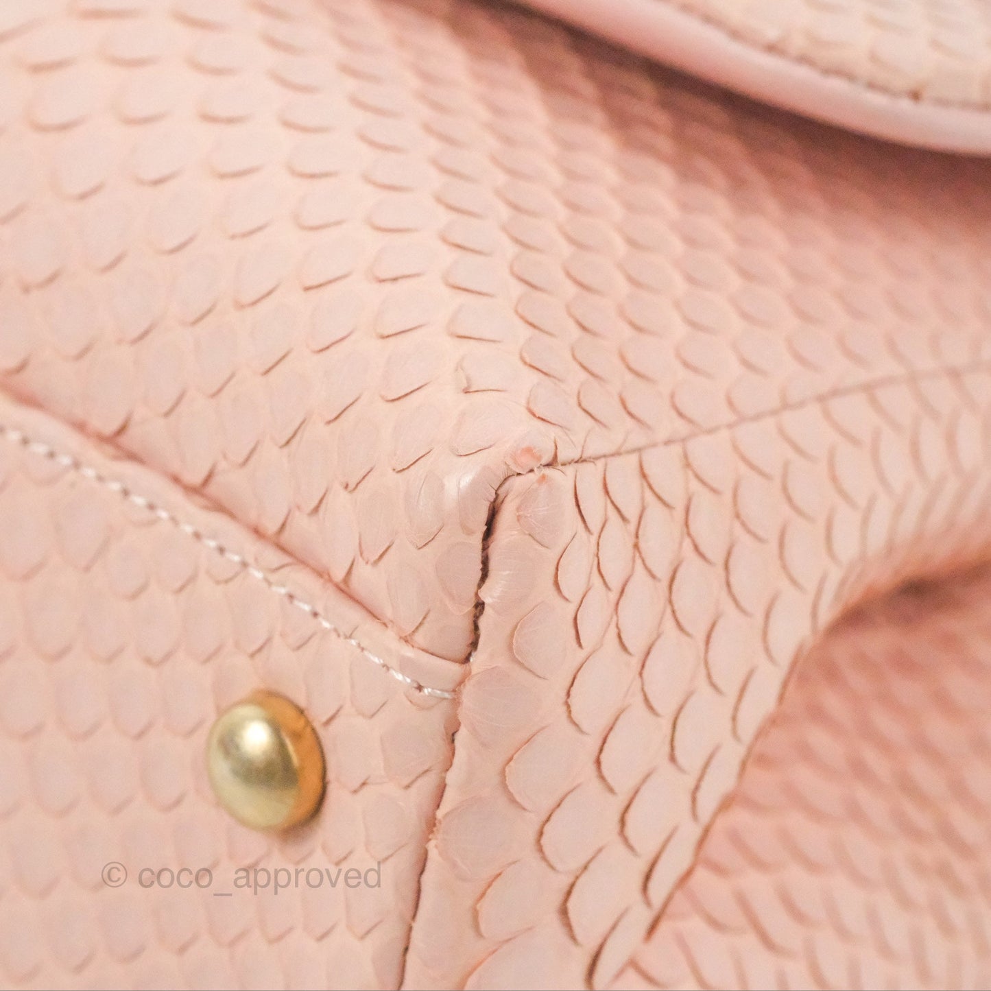 Chanel Small Coco Handle Baby Pink Python Aged Gold Hardware