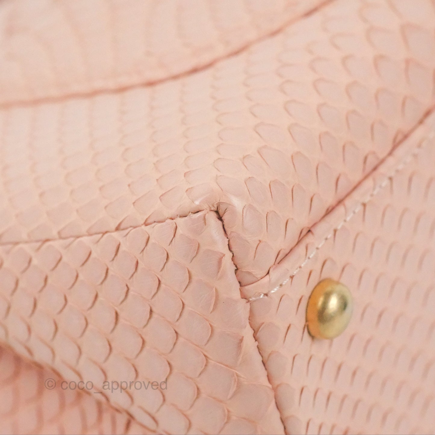 Chanel Small Coco Handle Baby Pink Python Aged Gold Hardware