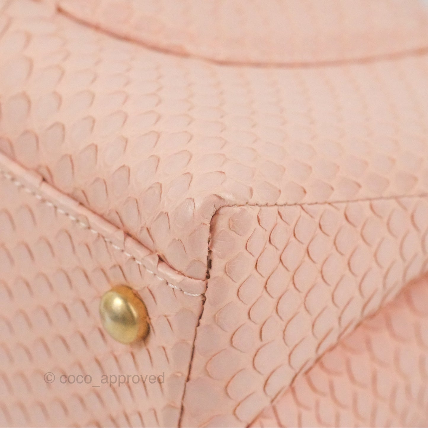 Chanel Small Coco Handle Baby Pink Python Aged Gold Hardware