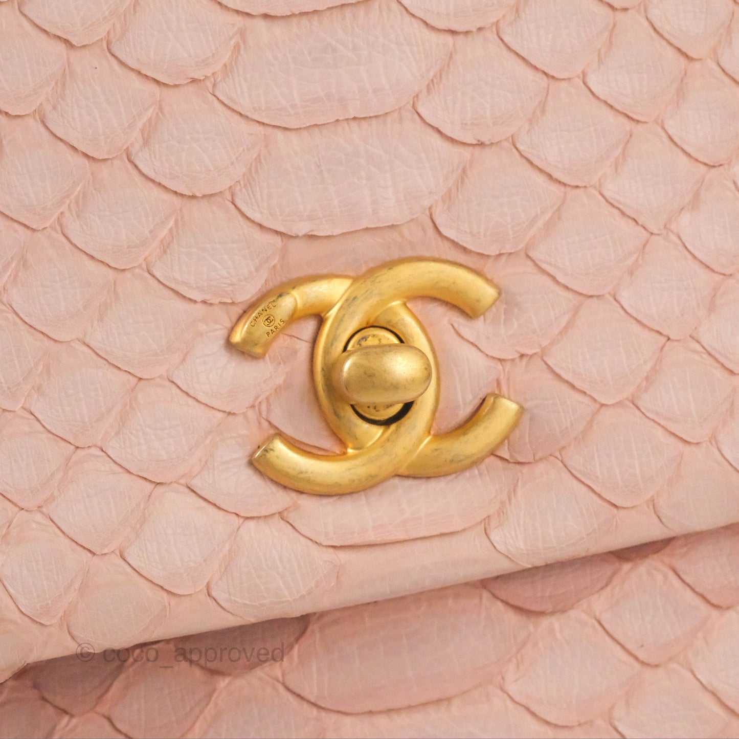 Chanel Small Coco Handle Baby Pink Python Aged Gold Hardware