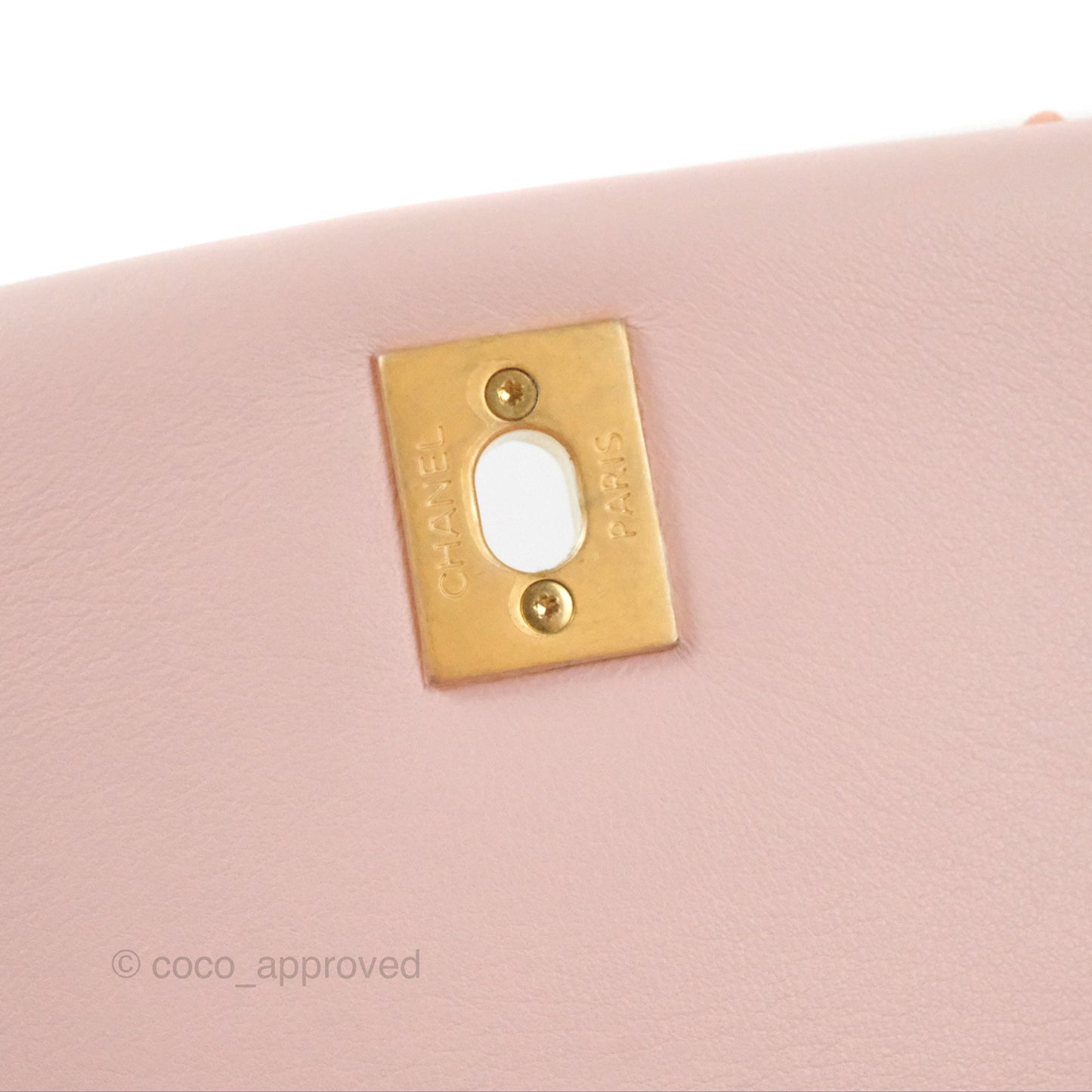 Chanel Small Coco Handle Baby Pink Python Aged Gold Hardware