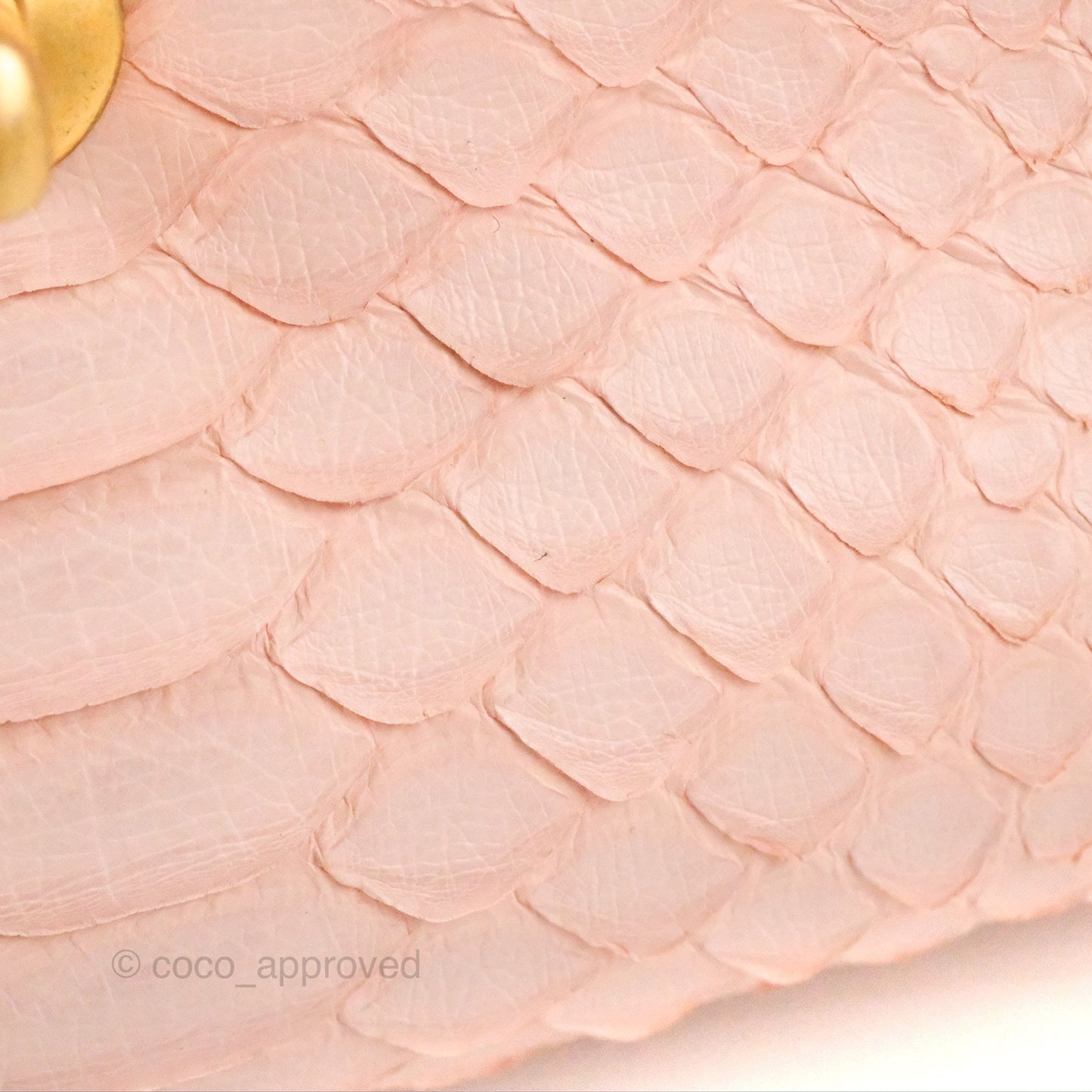 Chanel Small Coco Handle Baby Pink Python Aged Gold Hardware
