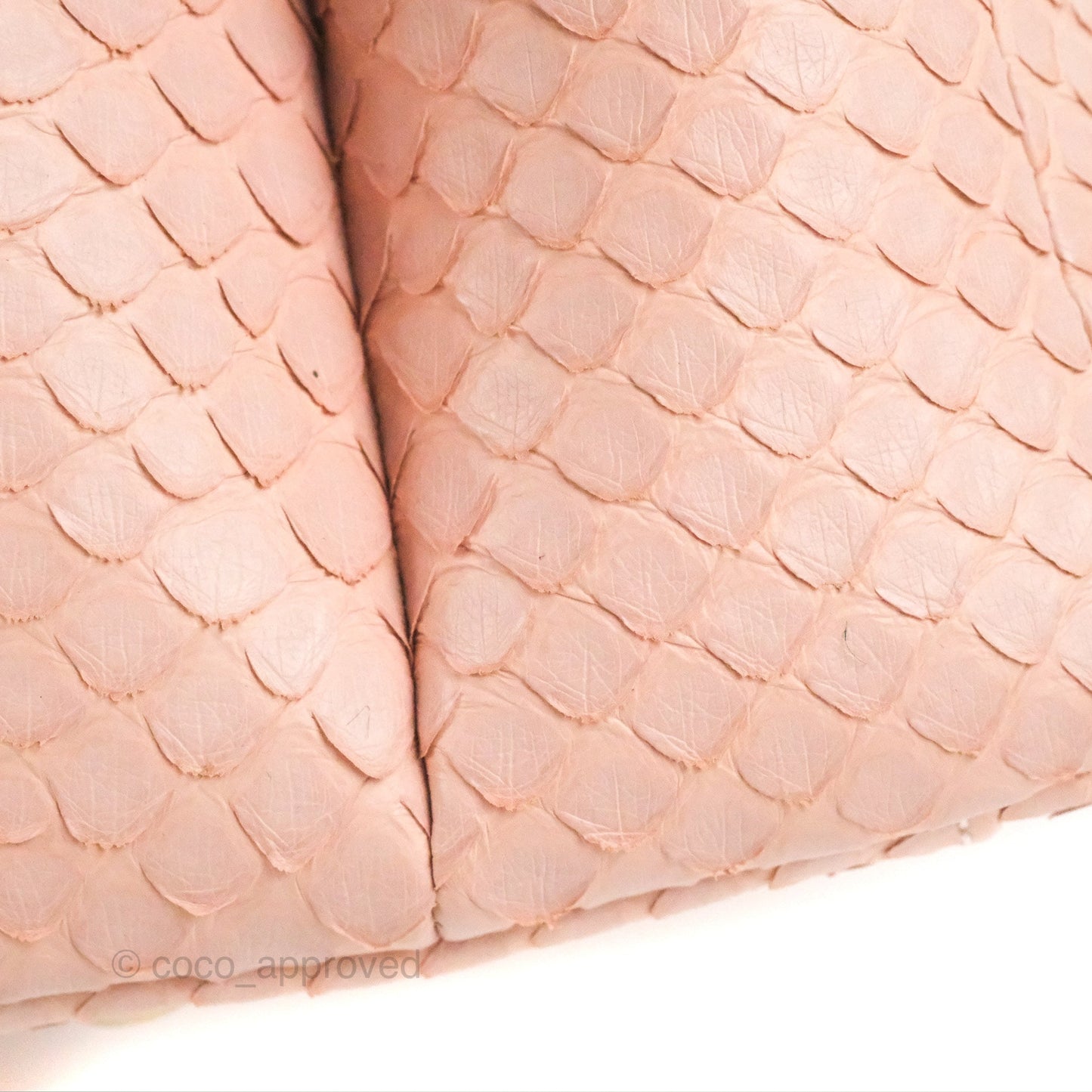 Chanel Small Coco Handle Baby Pink Python Aged Gold Hardware