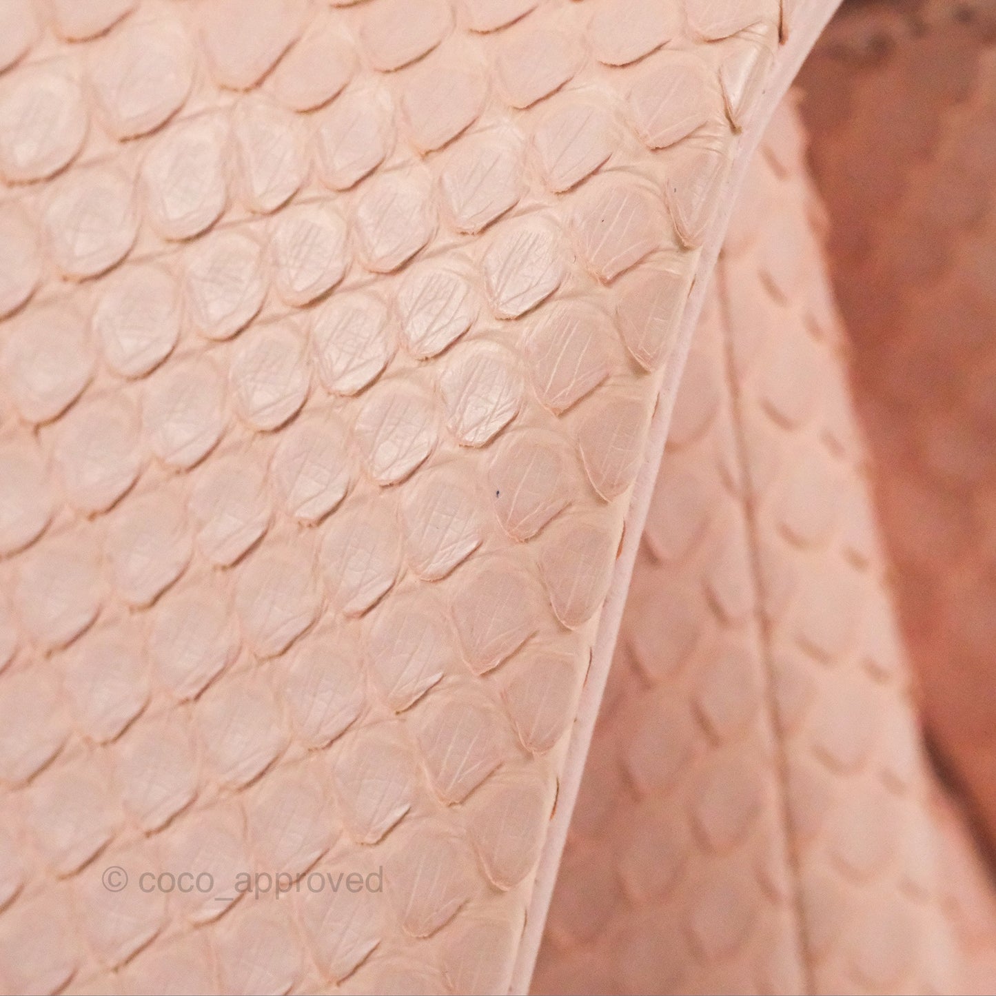Chanel Small Coco Handle Baby Pink Python Aged Gold Hardware