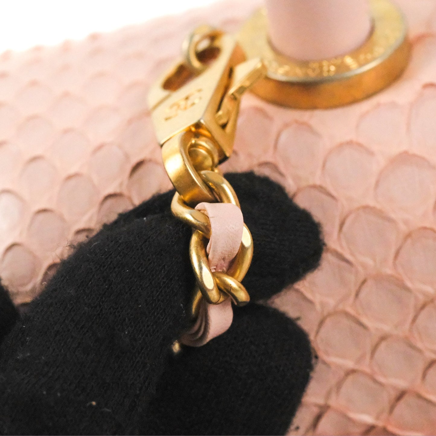 Chanel Small Coco Handle Baby Pink Python Aged Gold Hardware