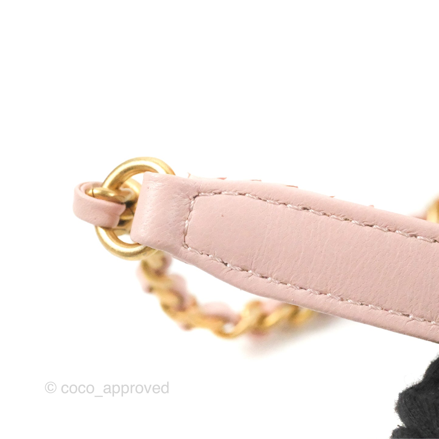 Chanel Small Coco Handle Baby Pink Python Aged Gold Hardware