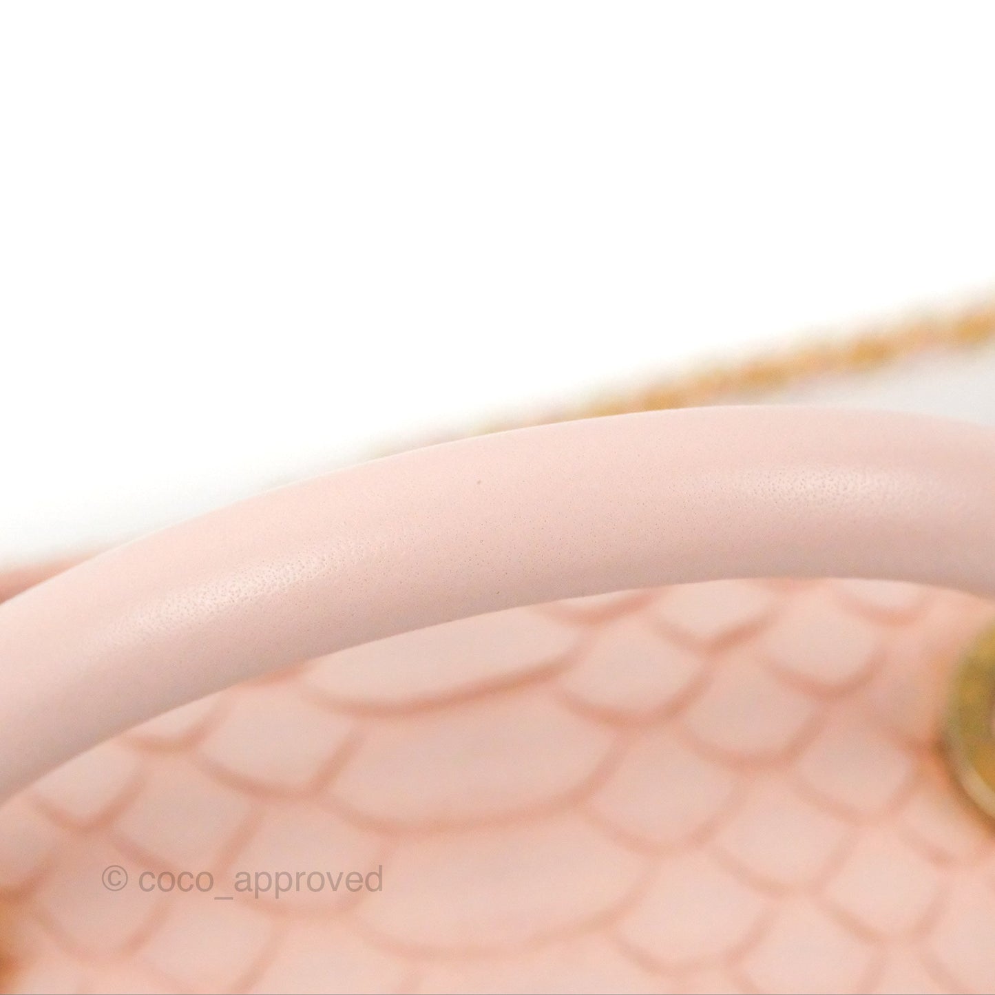 Chanel Small Coco Handle Baby Pink Python Aged Gold Hardware