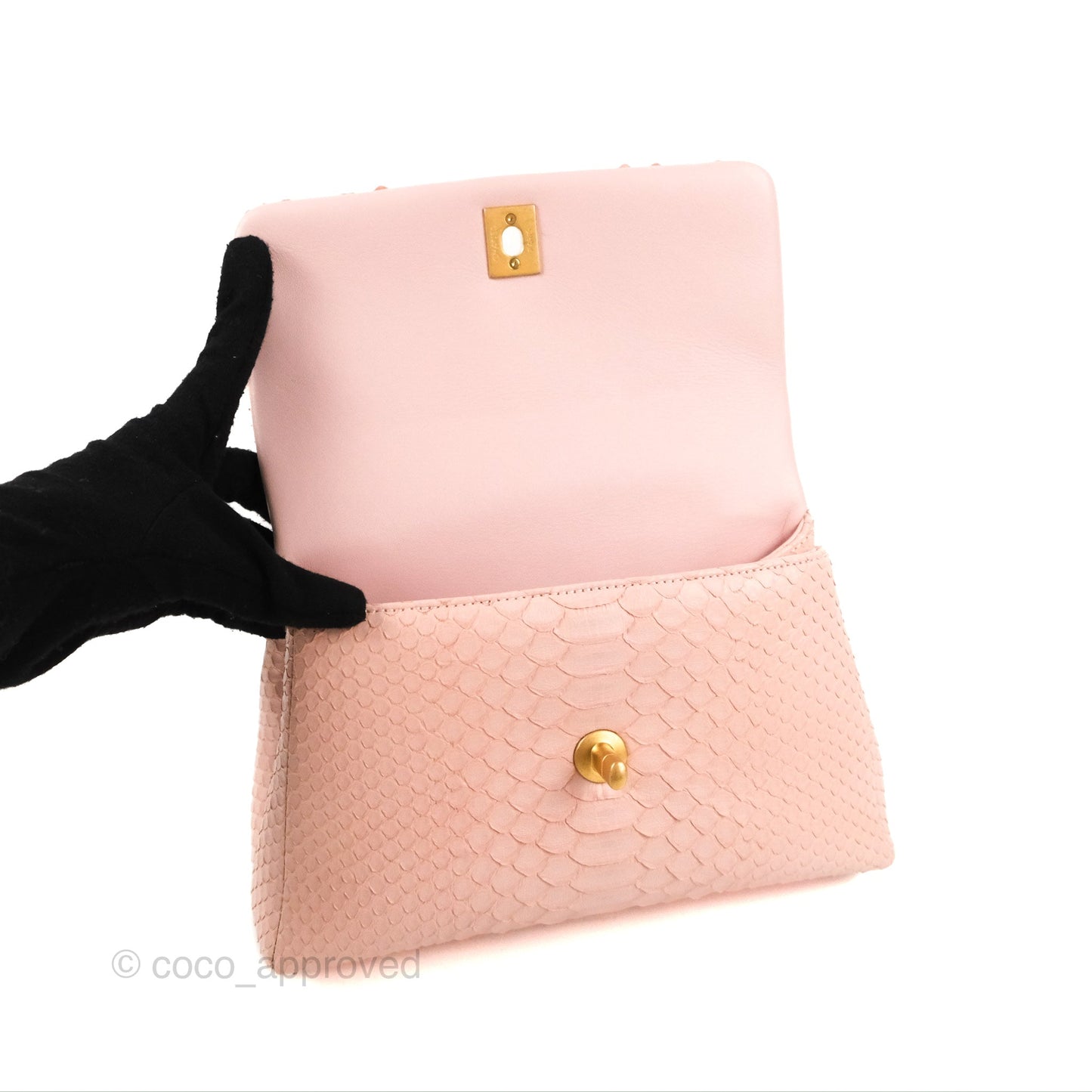 Chanel Small Coco Handle Baby Pink Python Aged Gold Hardware