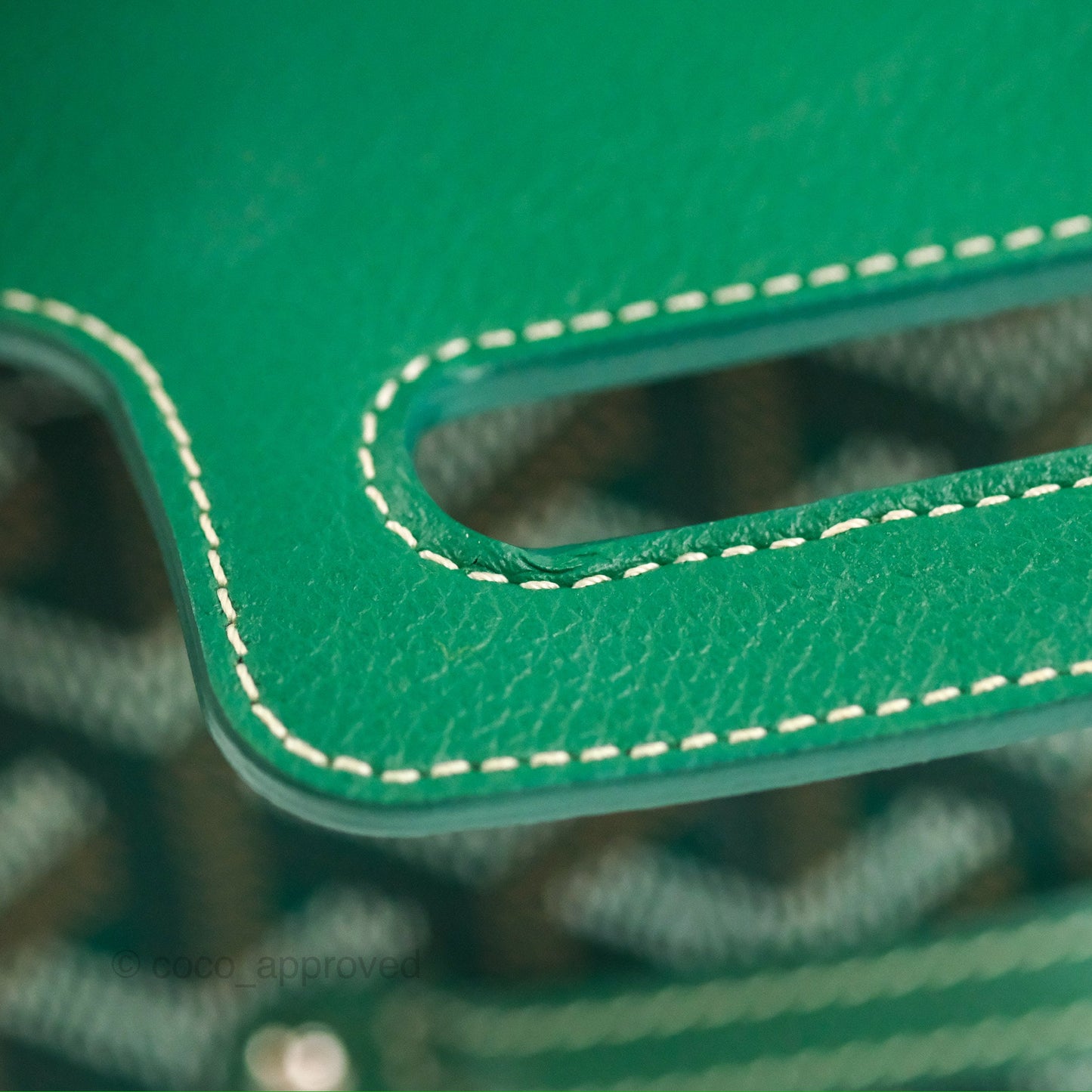 Goyard Saïgon Mini Bag Green Goyardine Canvas/Chevroches Calfskin