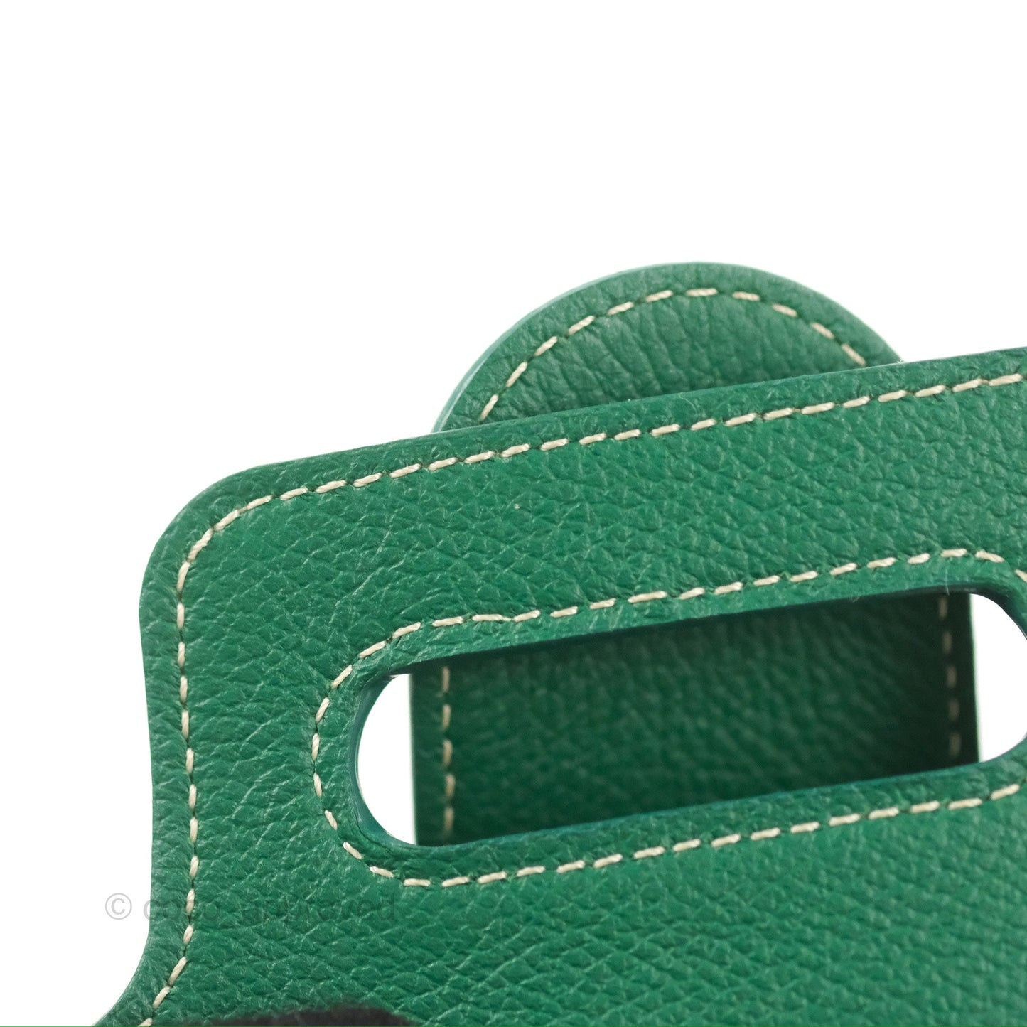 Goyard Saïgon Mini Bag Green Goyardine Canvas/Chevroches Calfskin