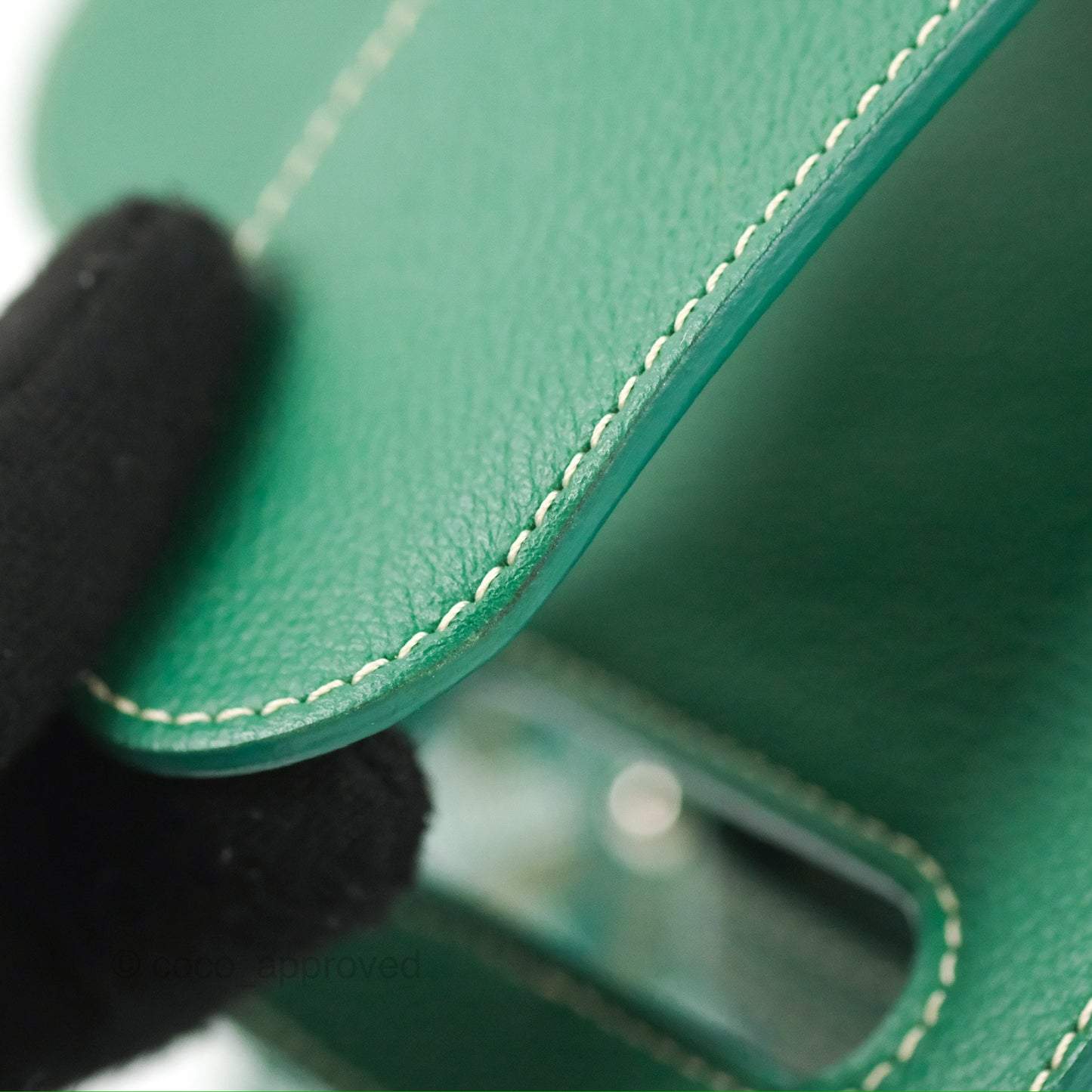 Goyard Saïgon Mini Bag Green Goyardine Canvas/Chevroches Calfskin