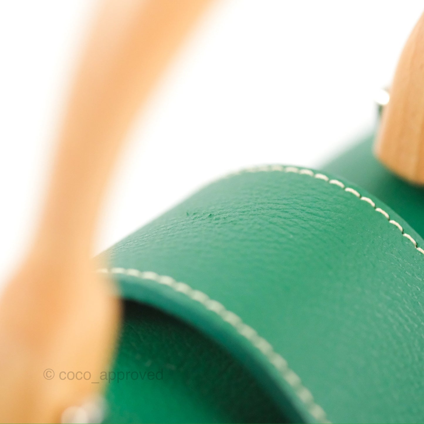 Goyard Saïgon Mini Bag Green Goyardine Canvas/Chevroches Calfskin