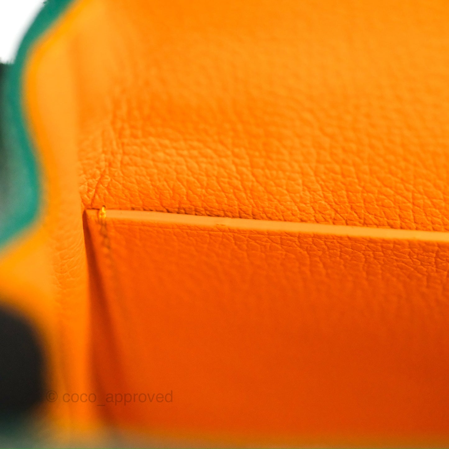 Goyard Saïgon Mini Bag Green Goyardine Canvas/Chevroches Calfskin