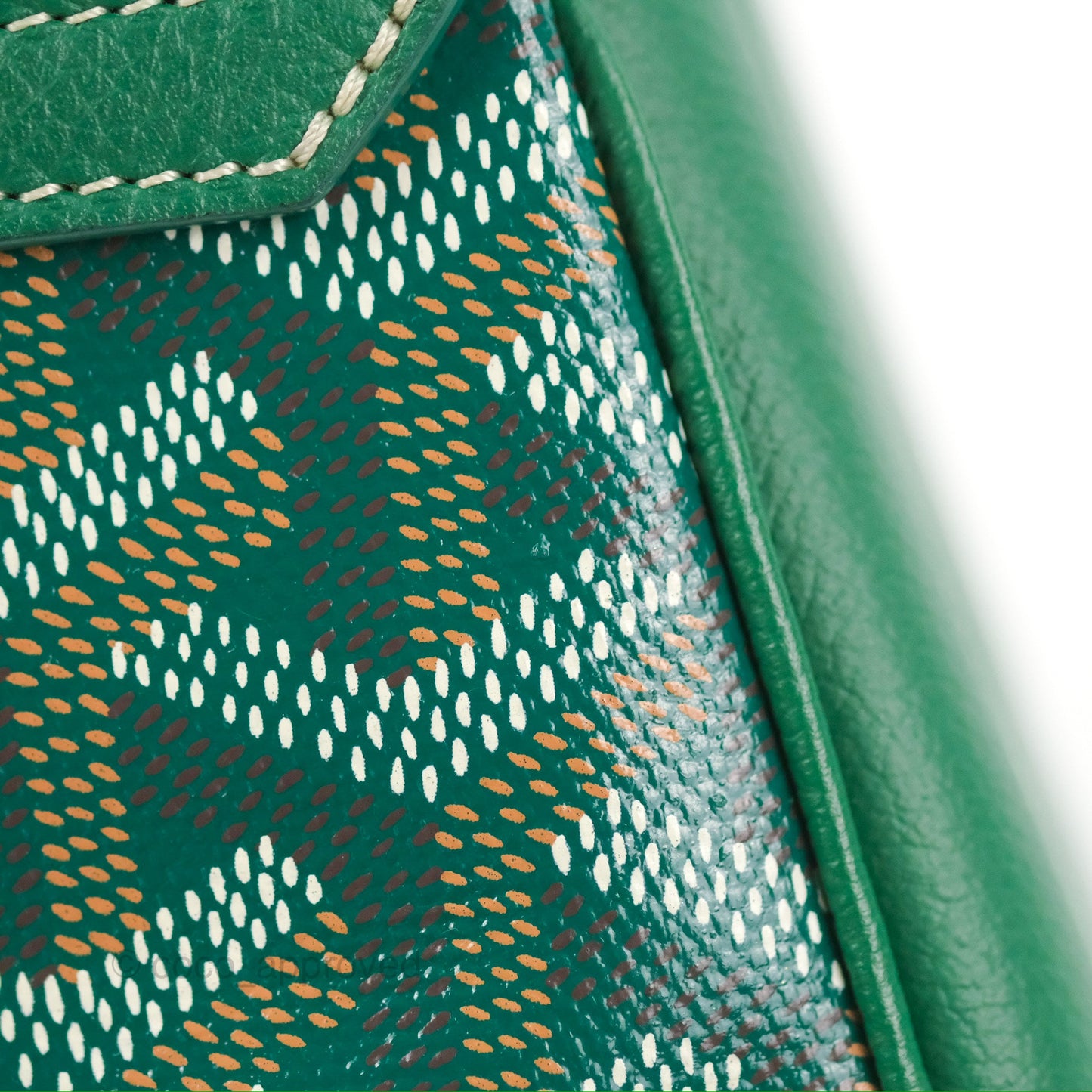 Goyard Saïgon Mini Bag Green Goyardine Canvas/Chevroches Calfskin
