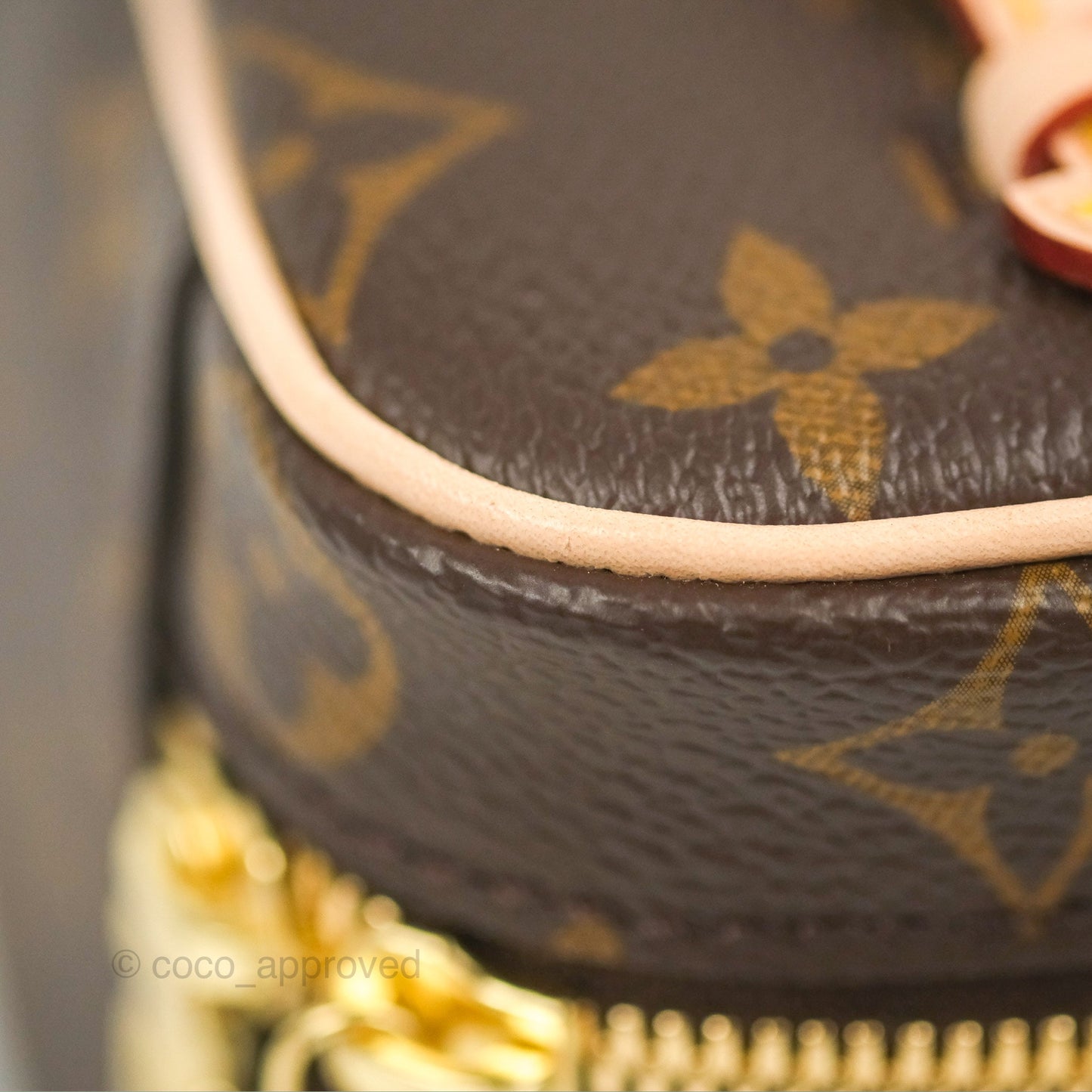 Louis Vuitton Nano Nice Monogram