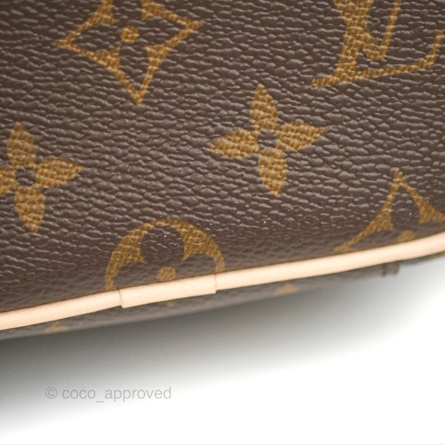 Louis Vuitton Nano Nice Monogram